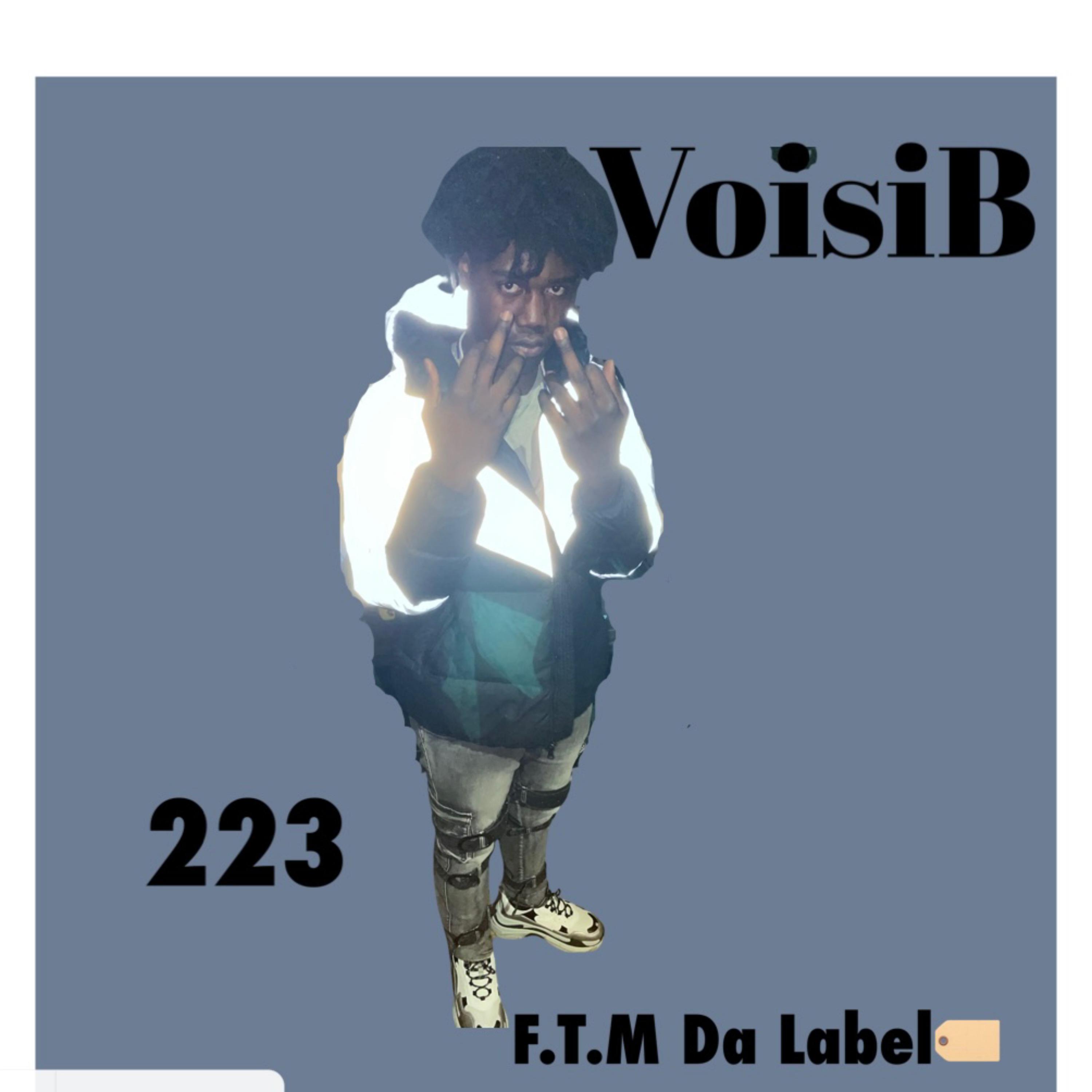 223 artwork