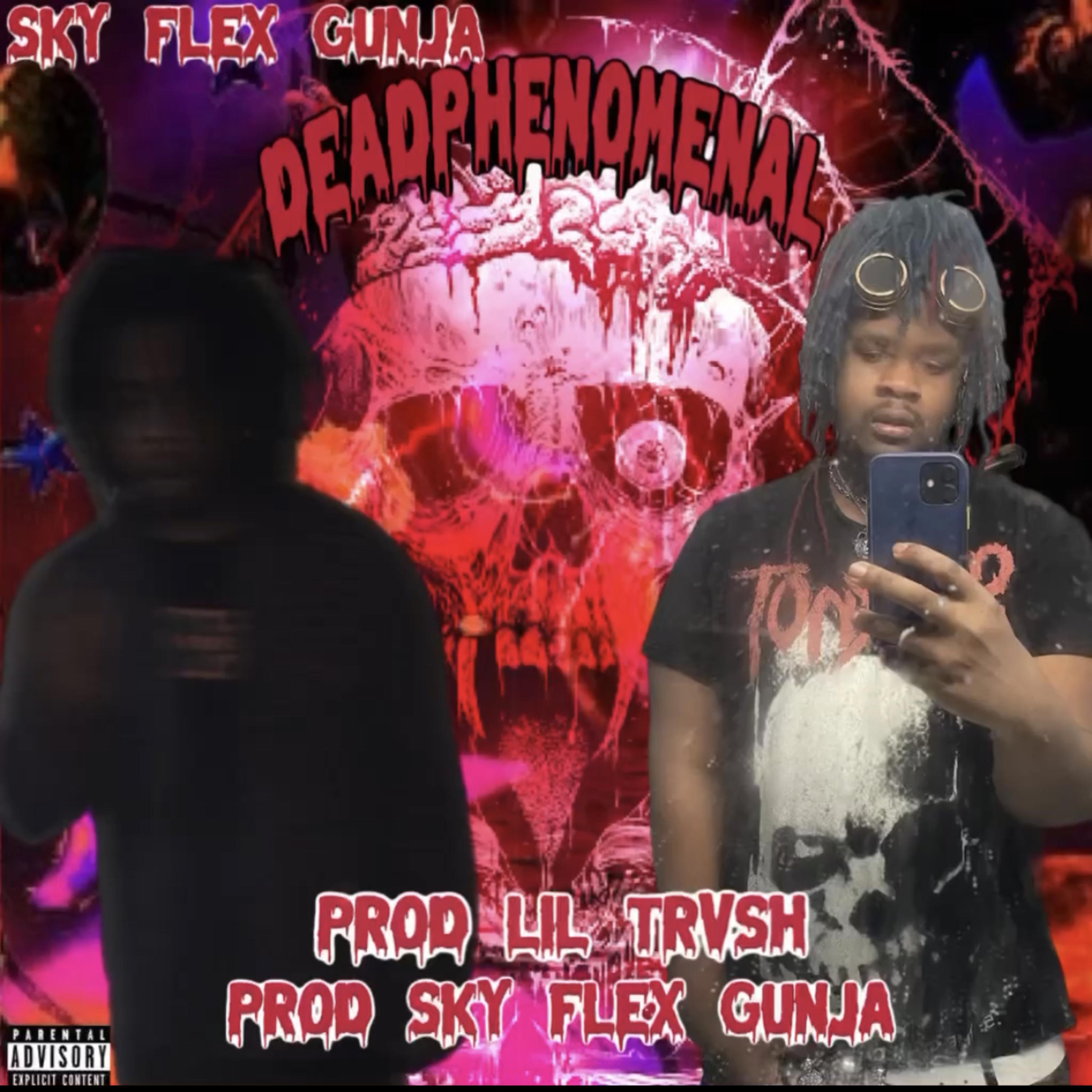 DEADPHENOMENAL artwork