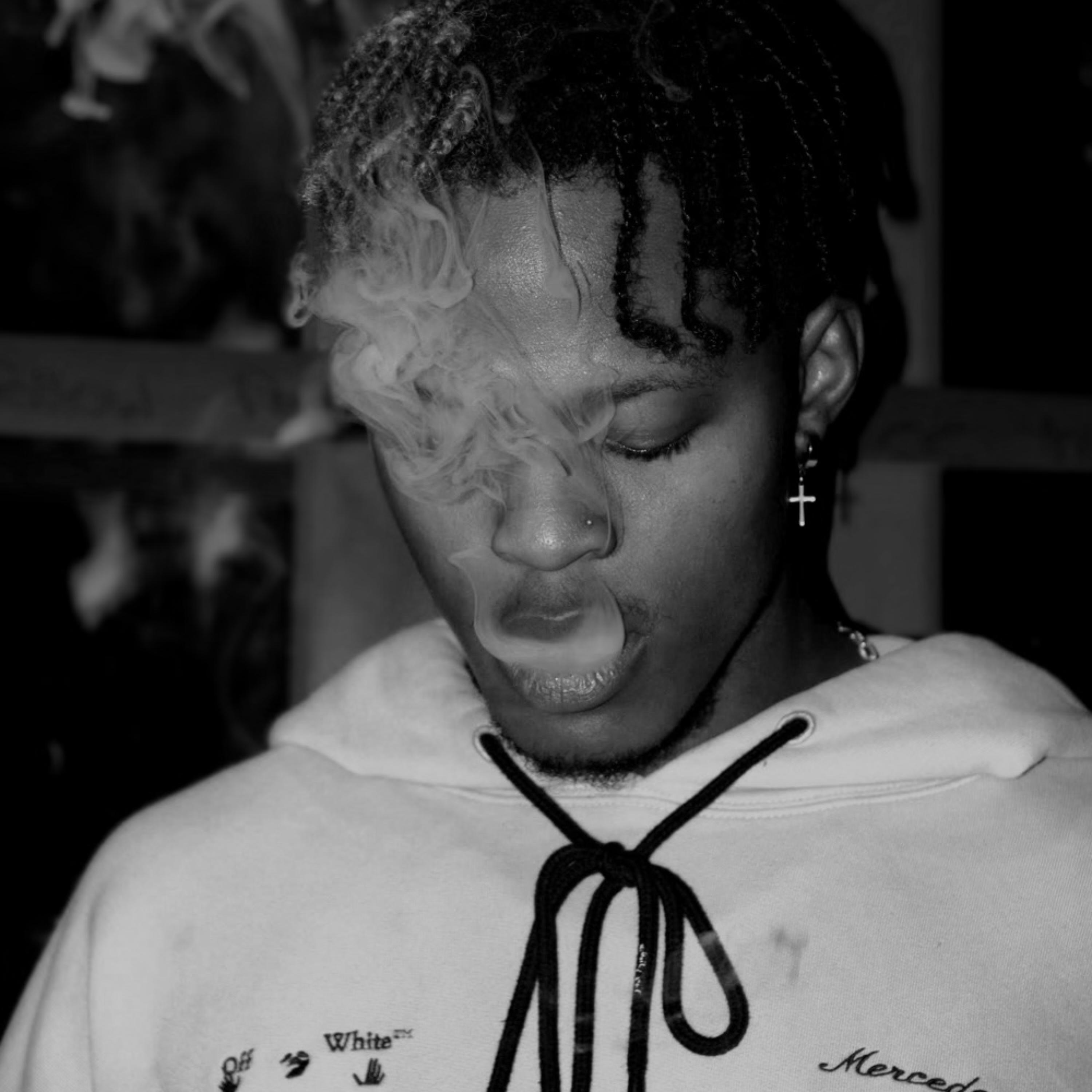 WÏLD LŸFE artwork