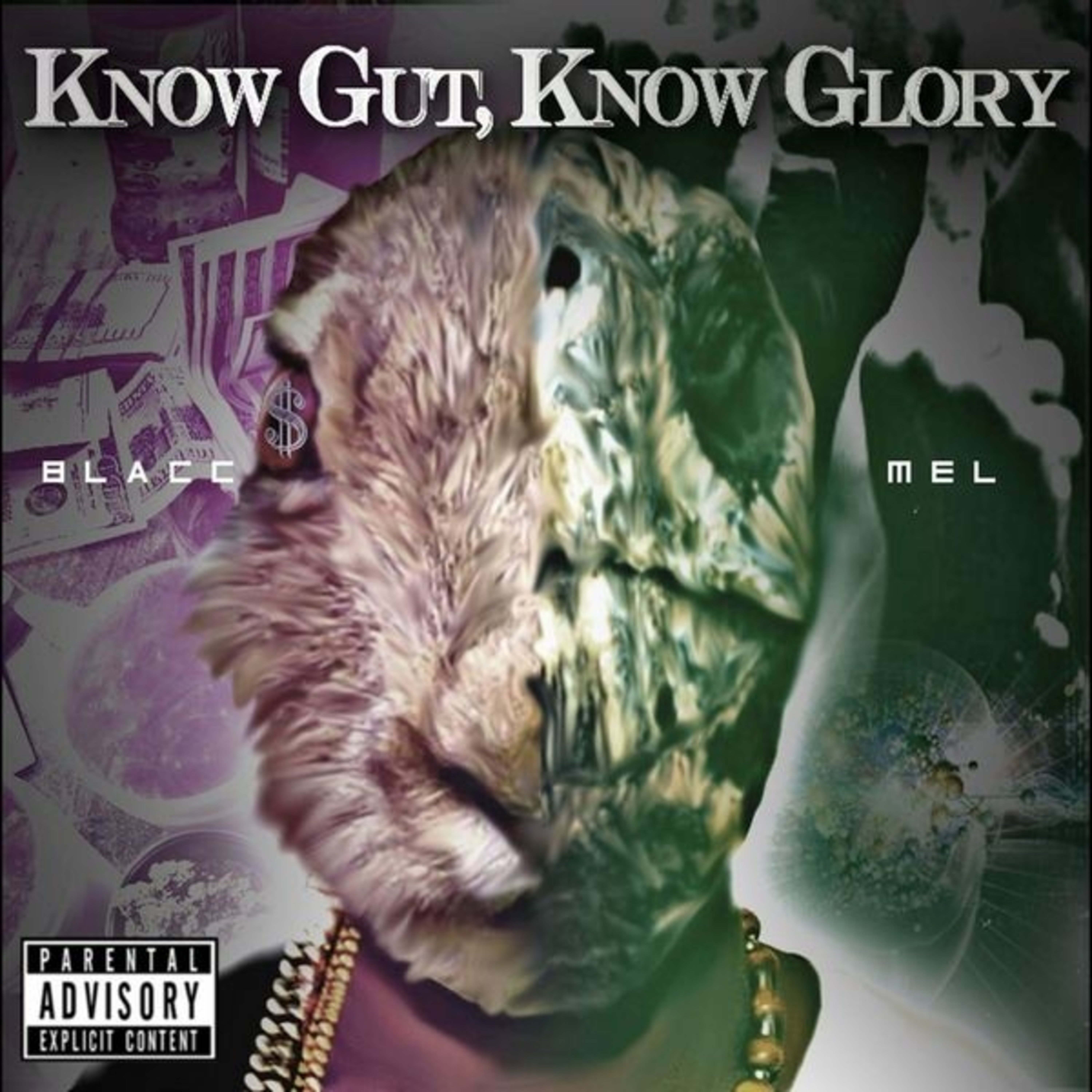 Know Gut, Know Glory artwork