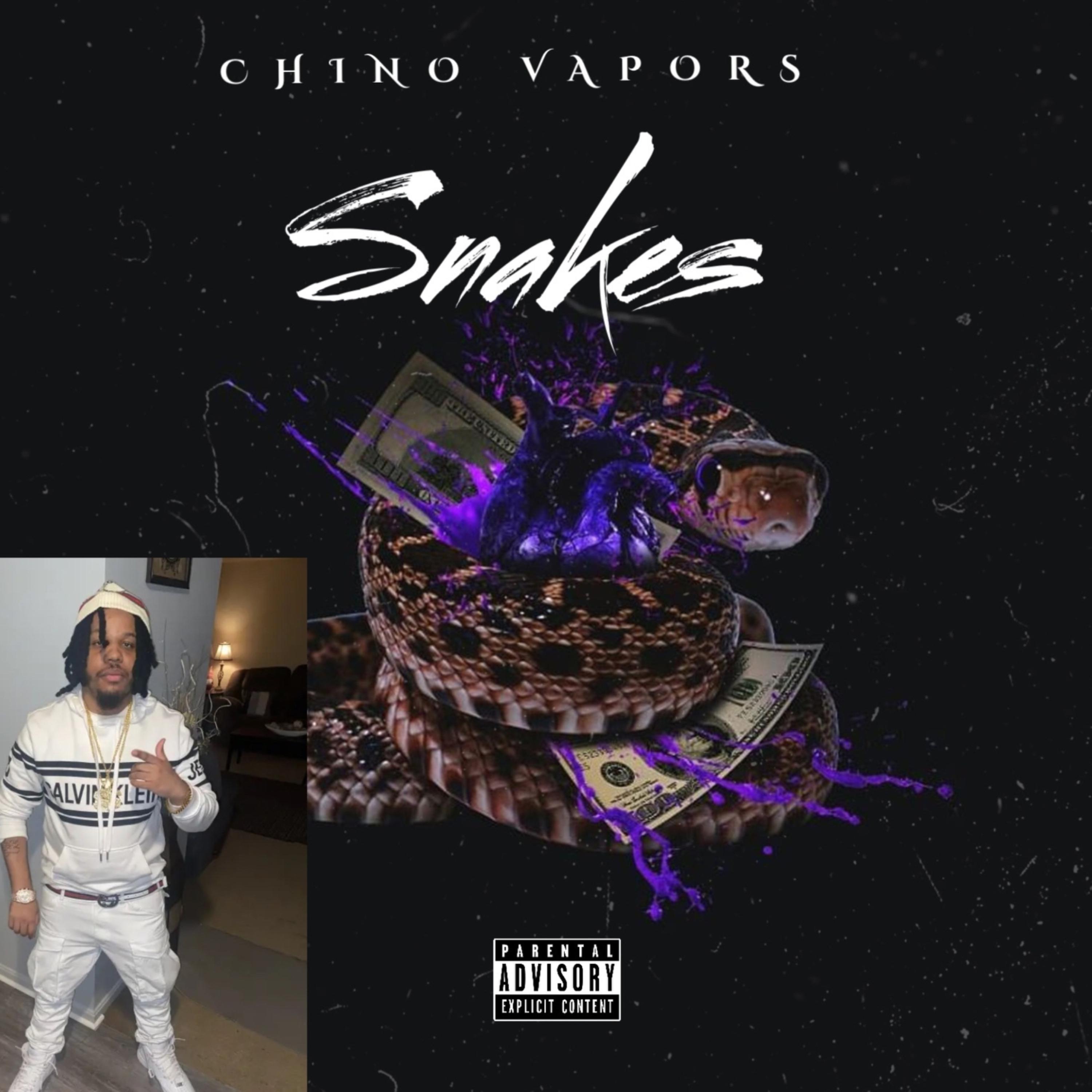 Snakes by Chino Vapors cover art