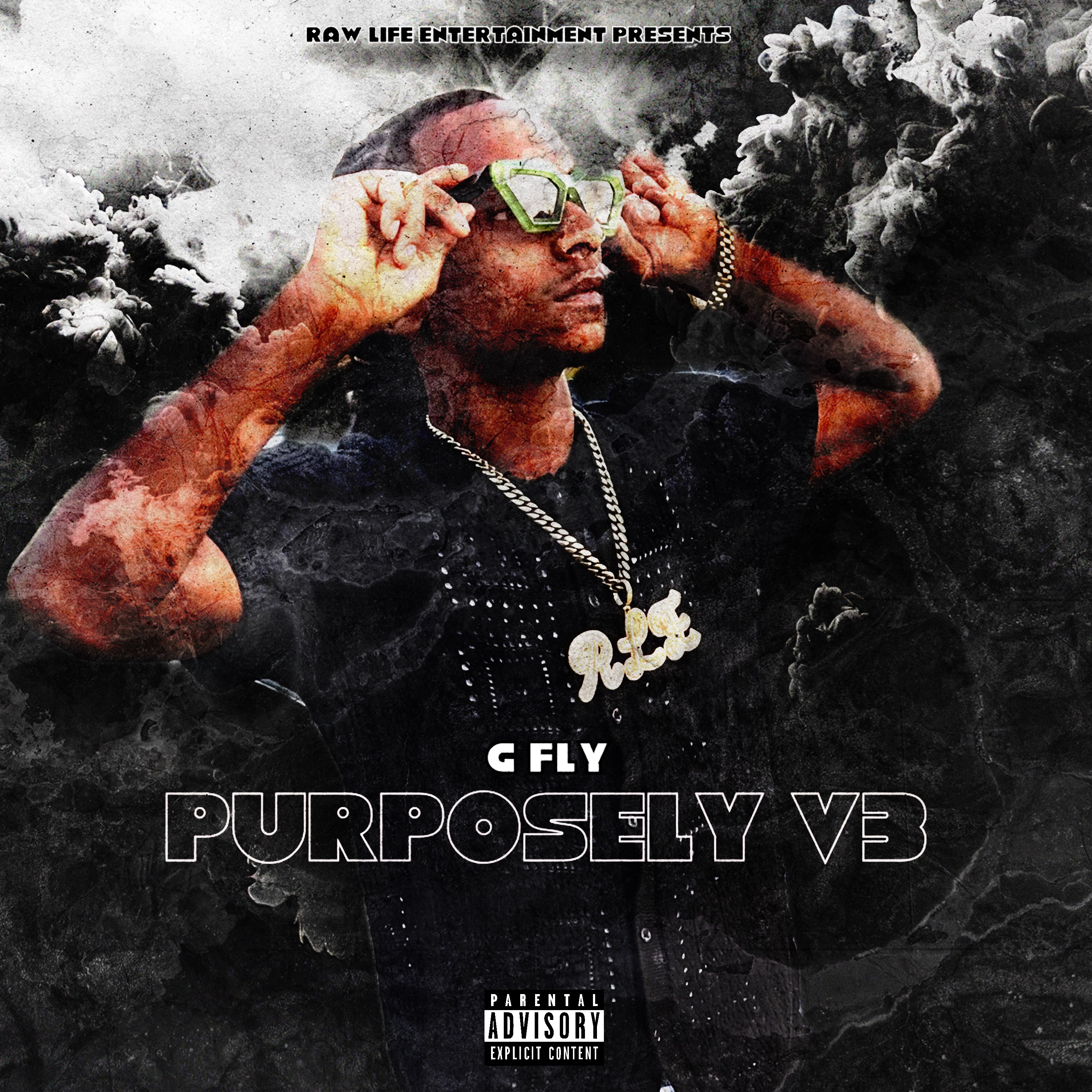 Purposely V3 artwork