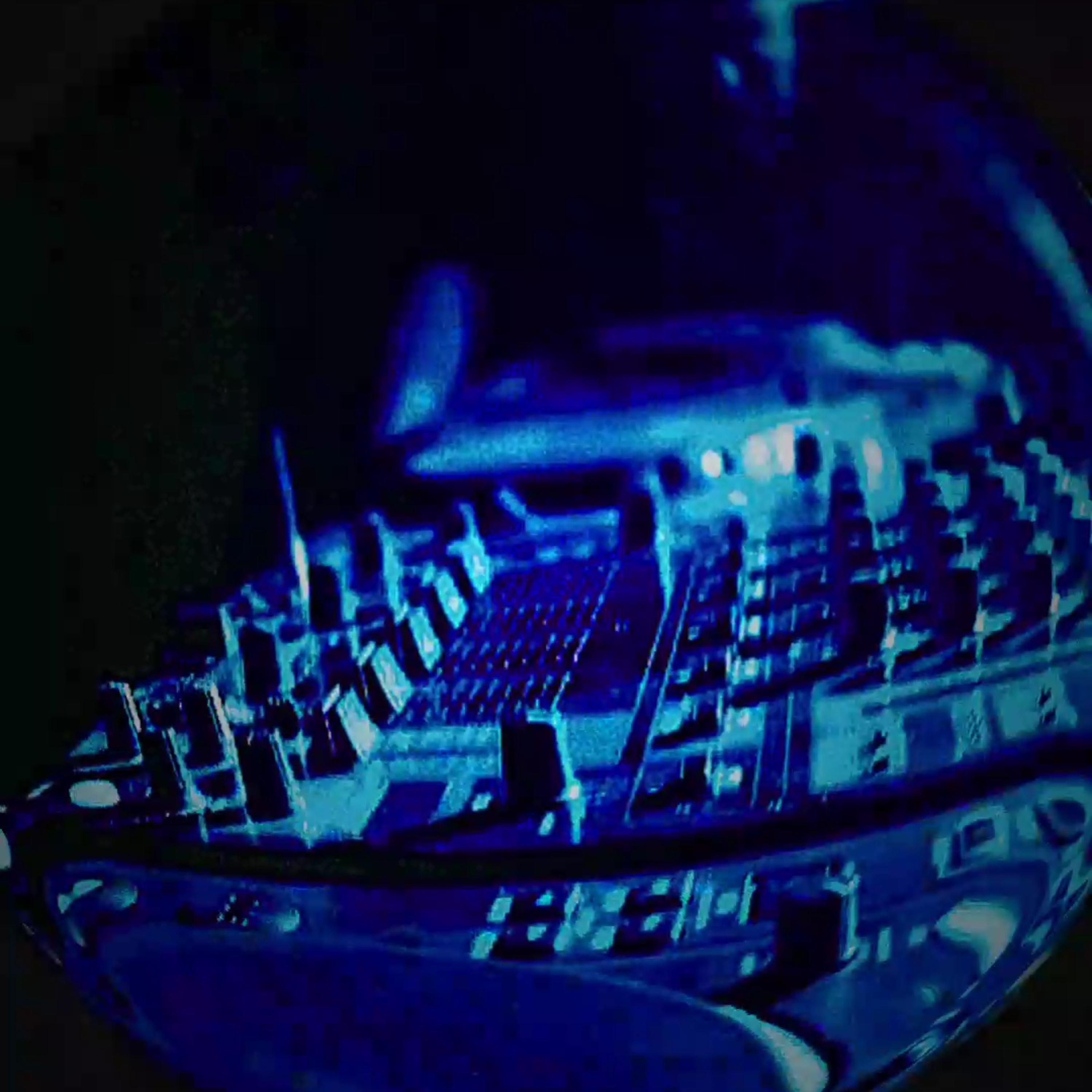 L I B I D I N A L artwork