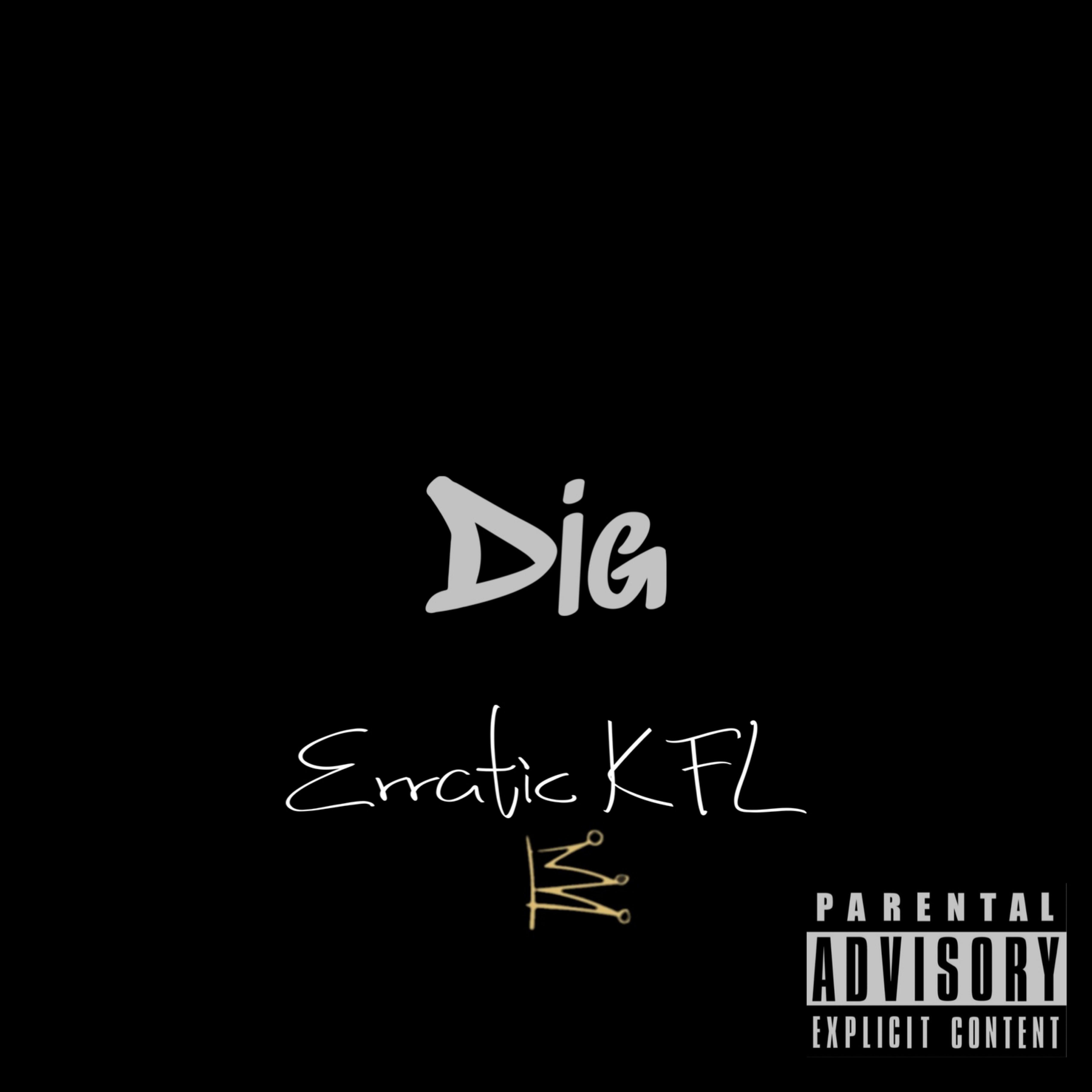 Dig artwork