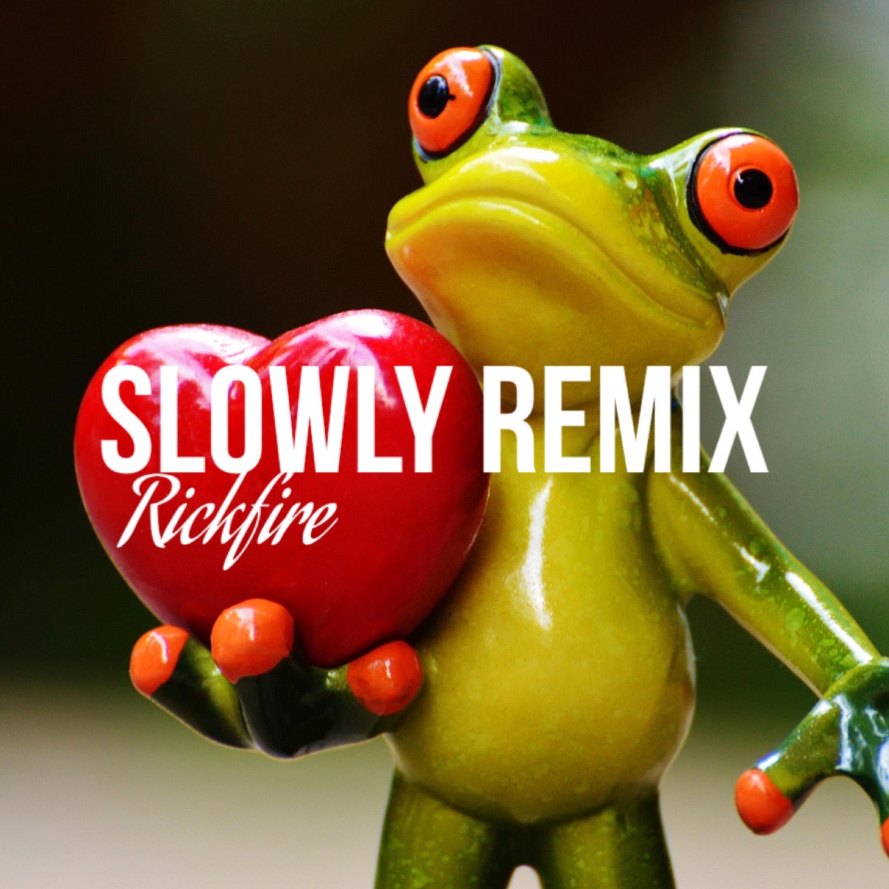 Slowly (Remix) artwork
