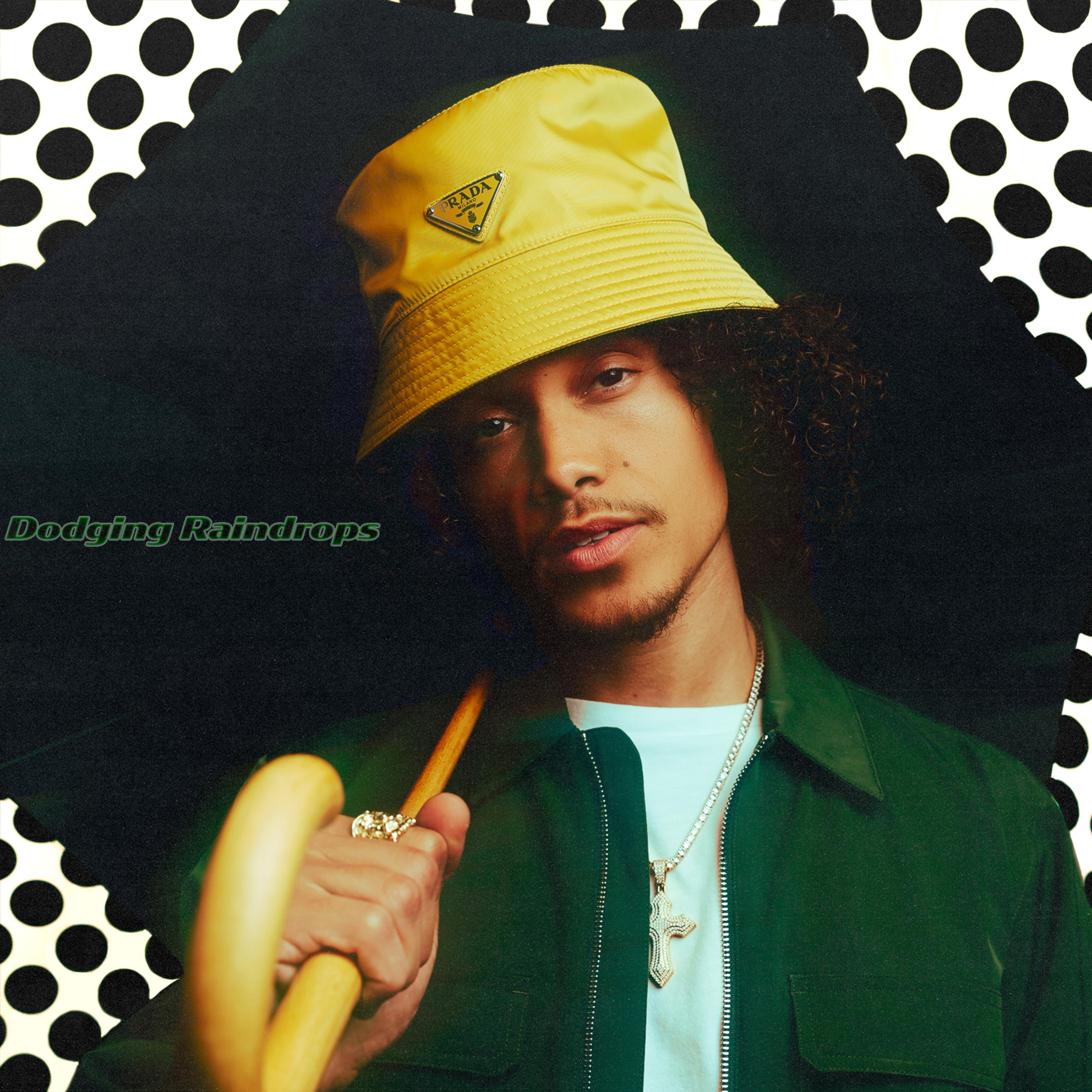 Dodging Raindrops artwork