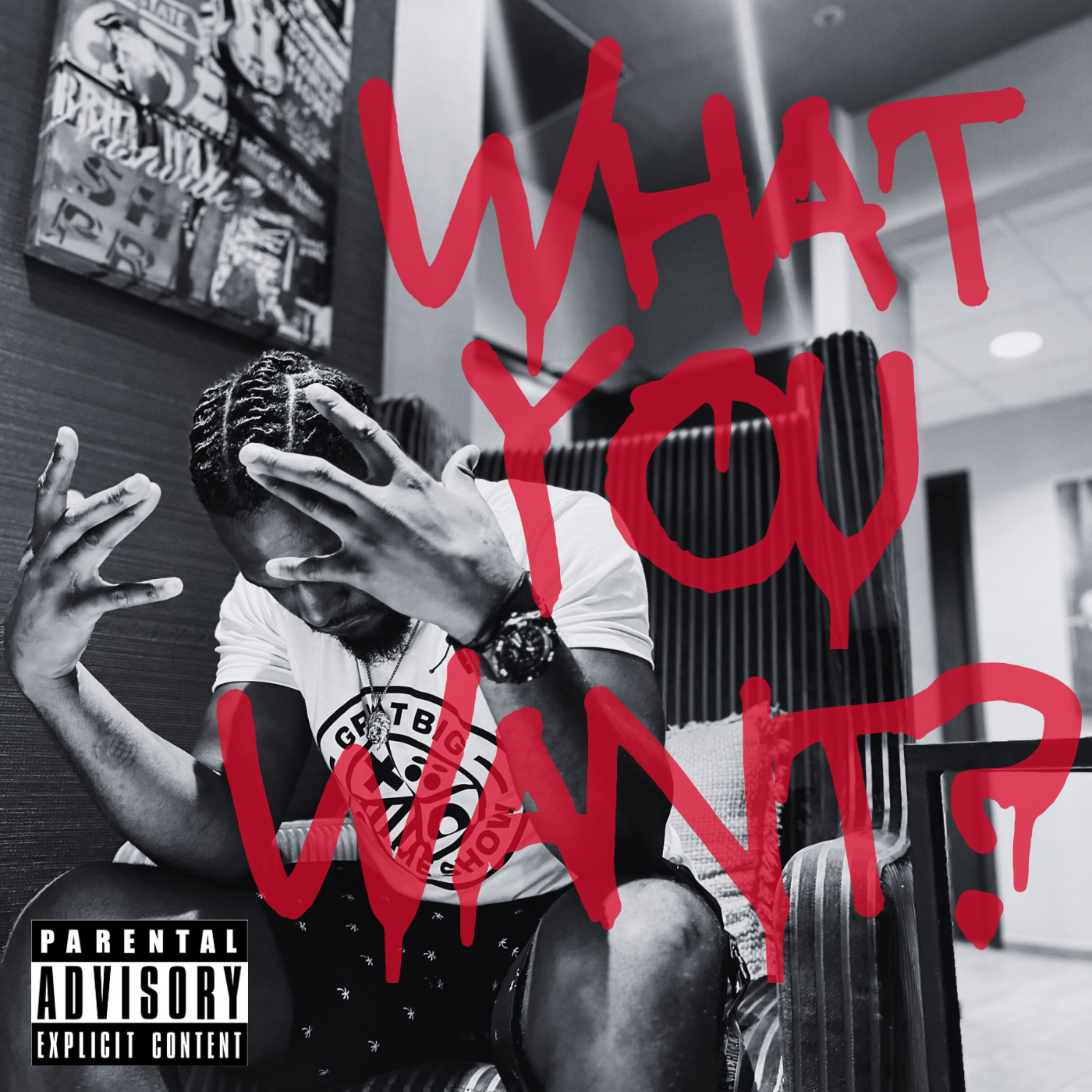 WHAT YOU WANT artwork