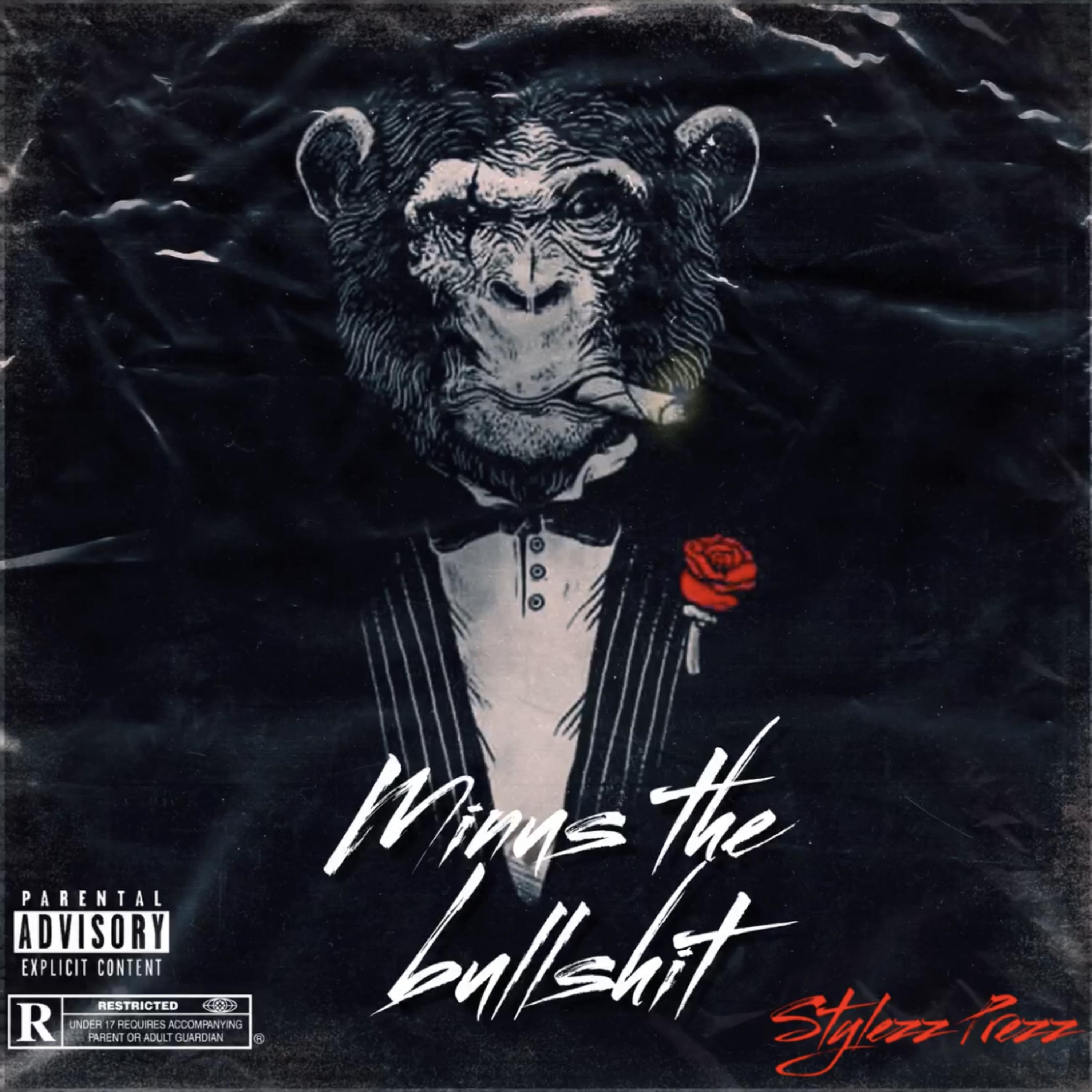 Minus The Bullshit artwork