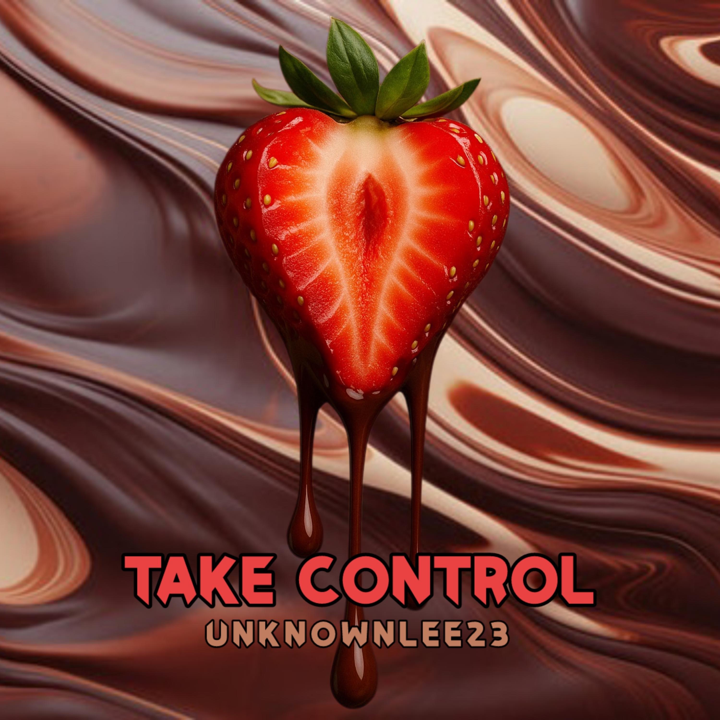 Take Control artwork