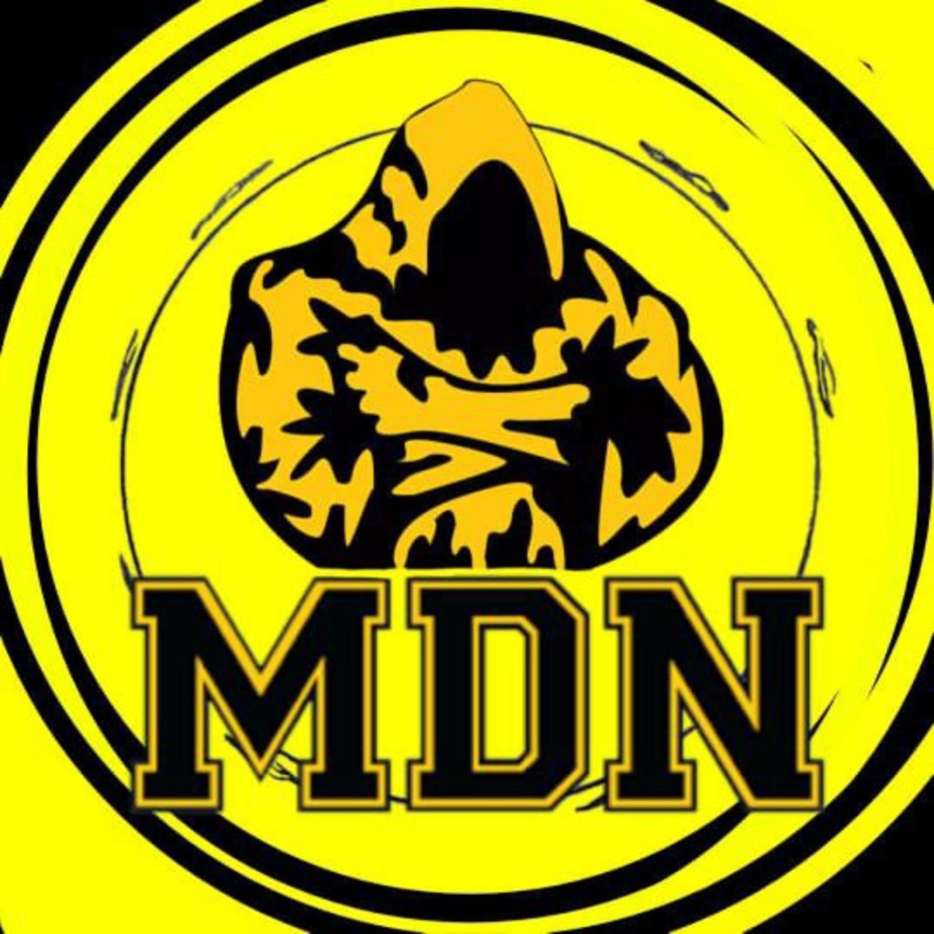 Marcos De Niza artwork