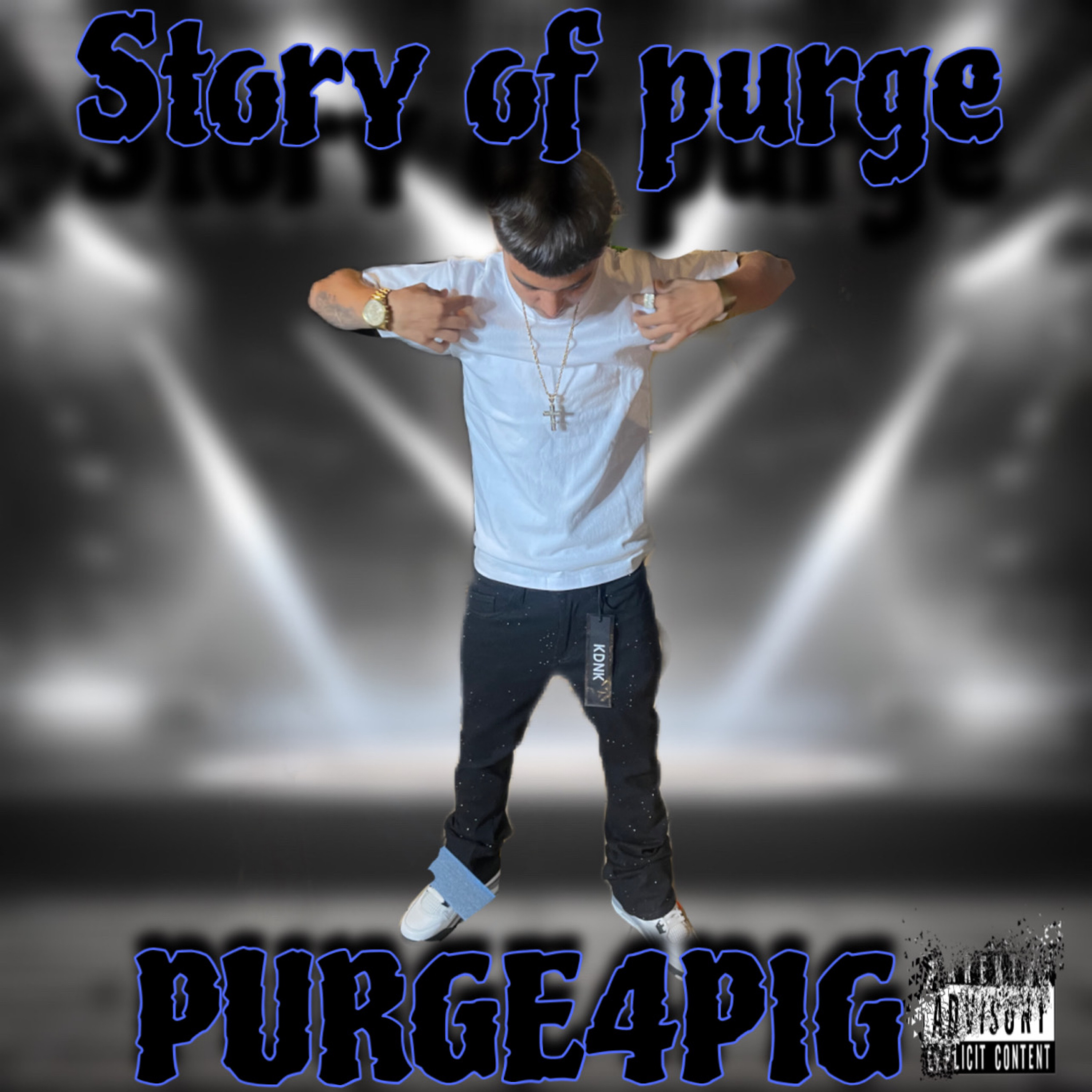 story of purge artwork