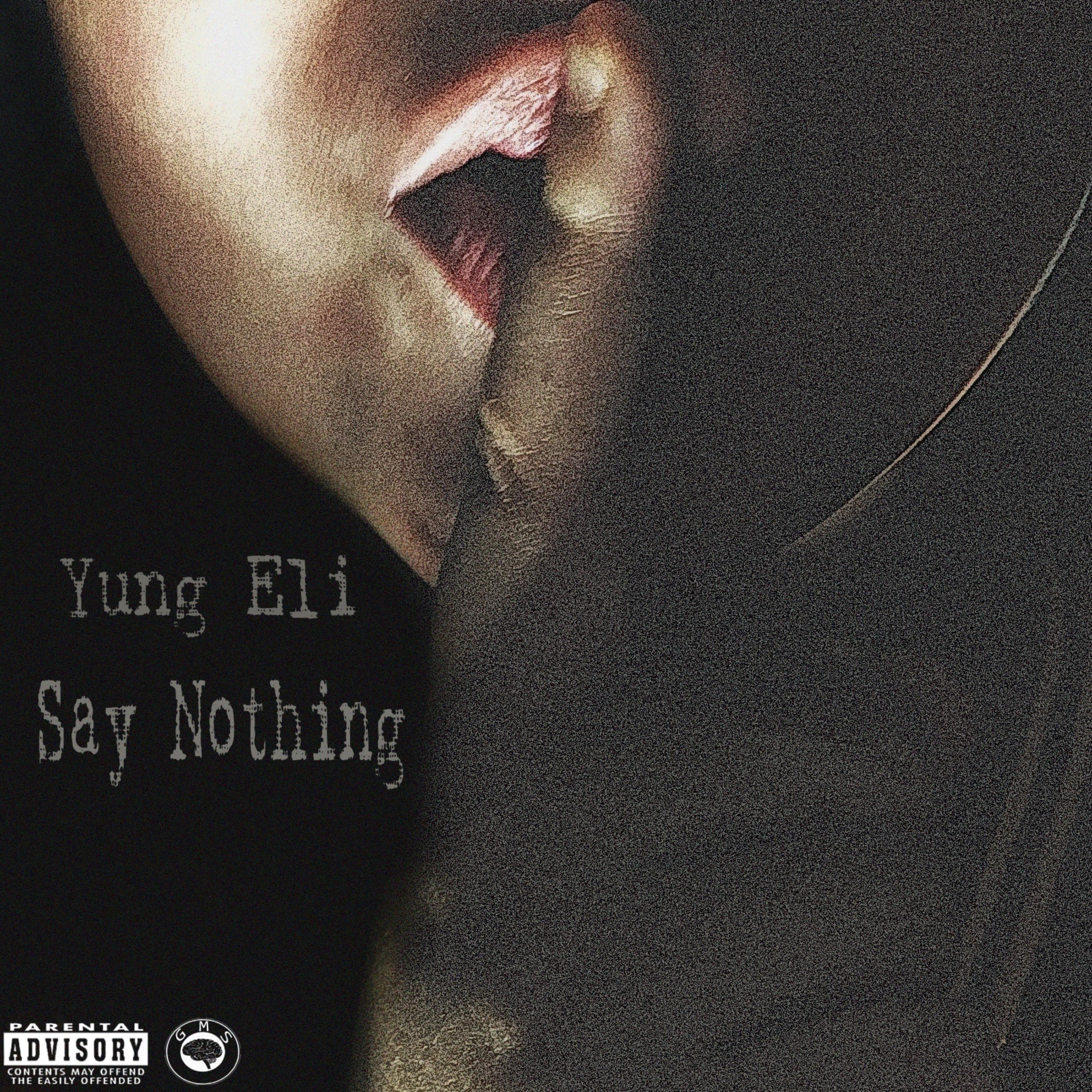 Say Nothing artwork