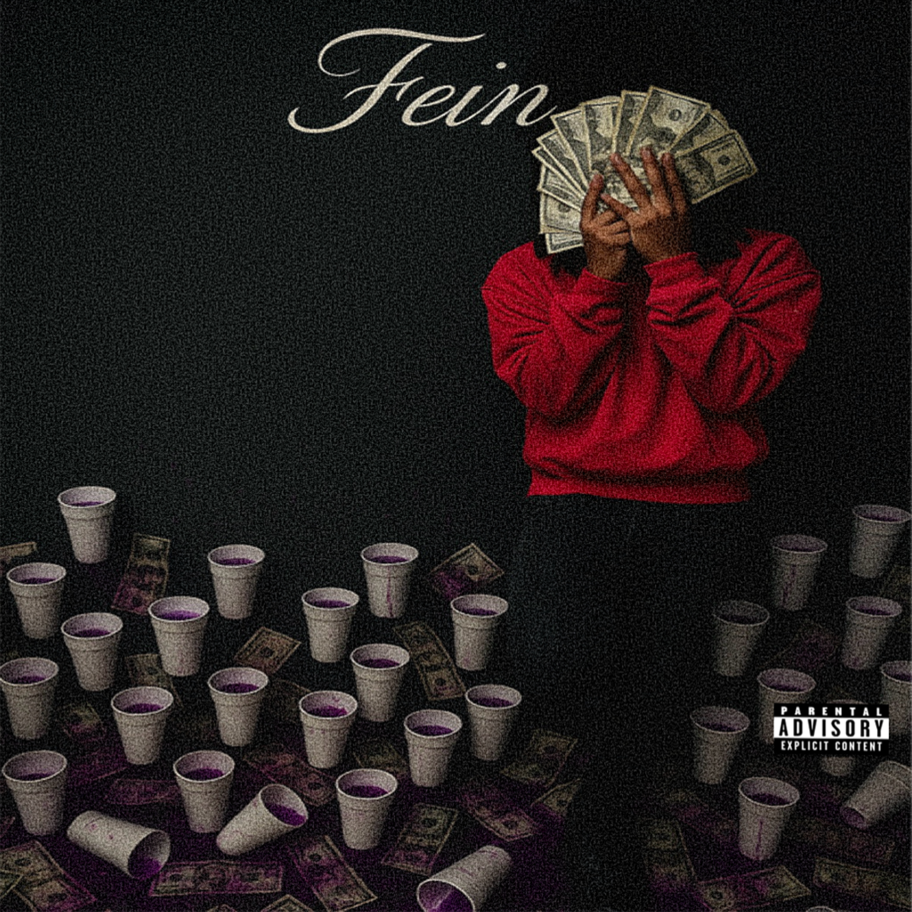Fein artwork