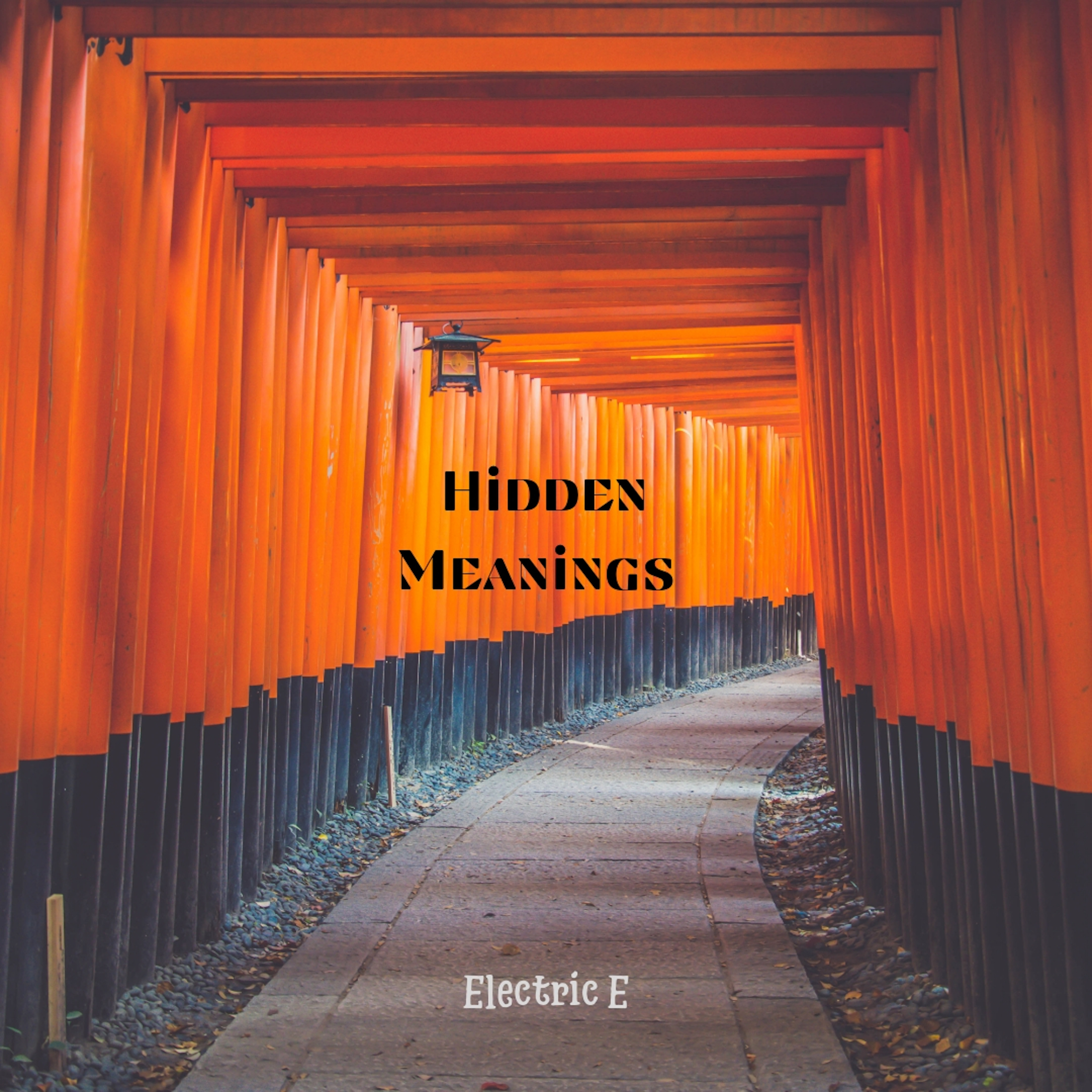 Hidden Meanings artwork