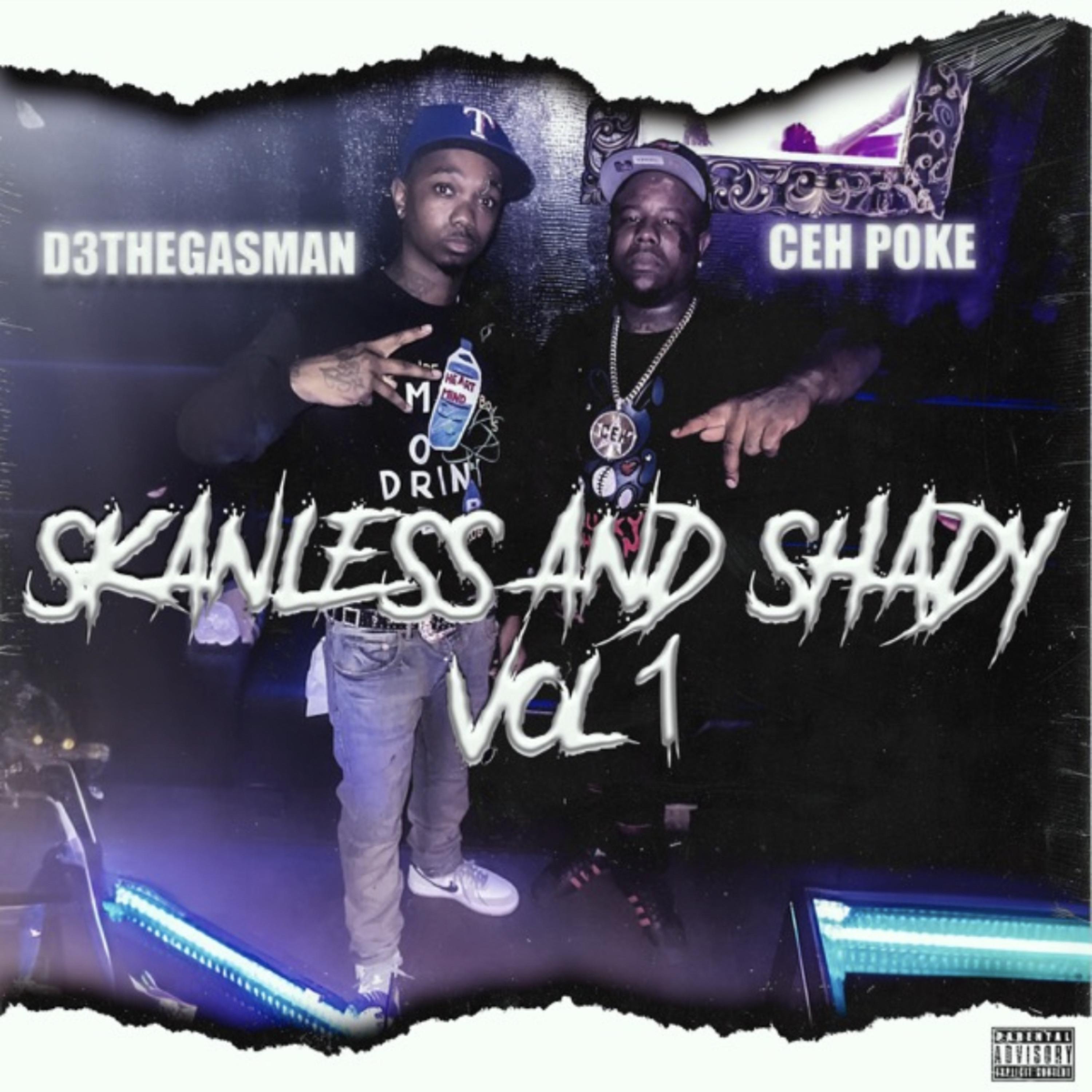 Skanless And Shady Vol1 artwork