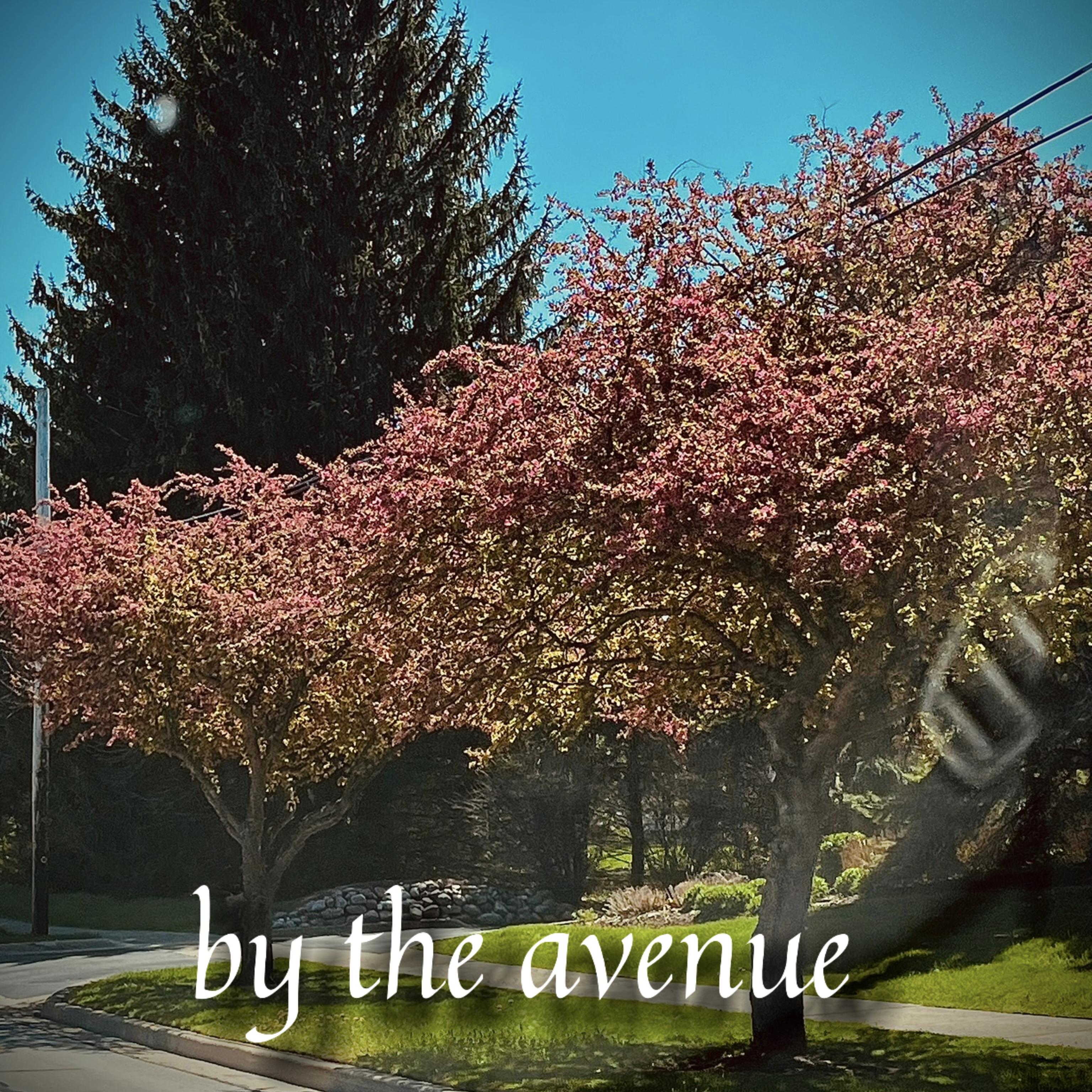 by the avenue. artwork