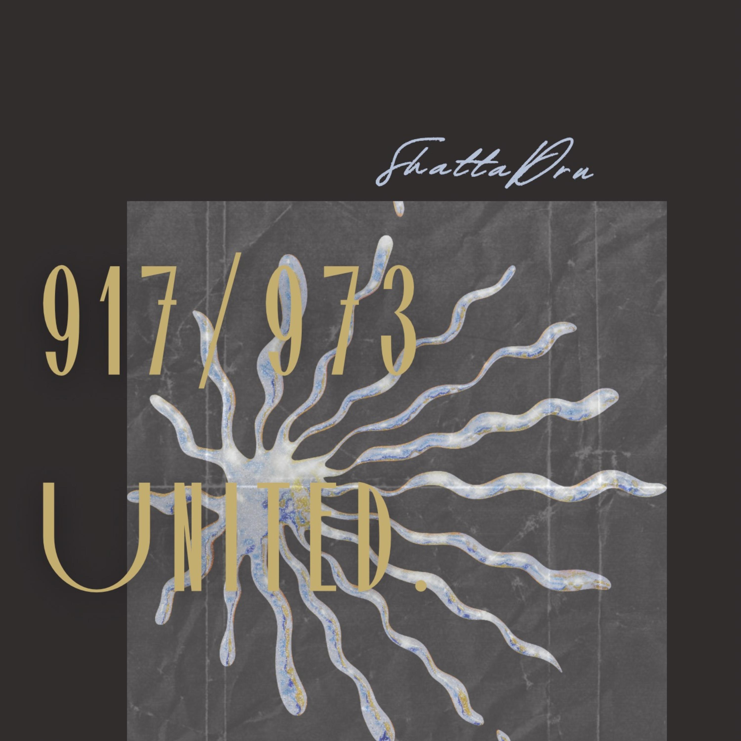 917/973 artwork