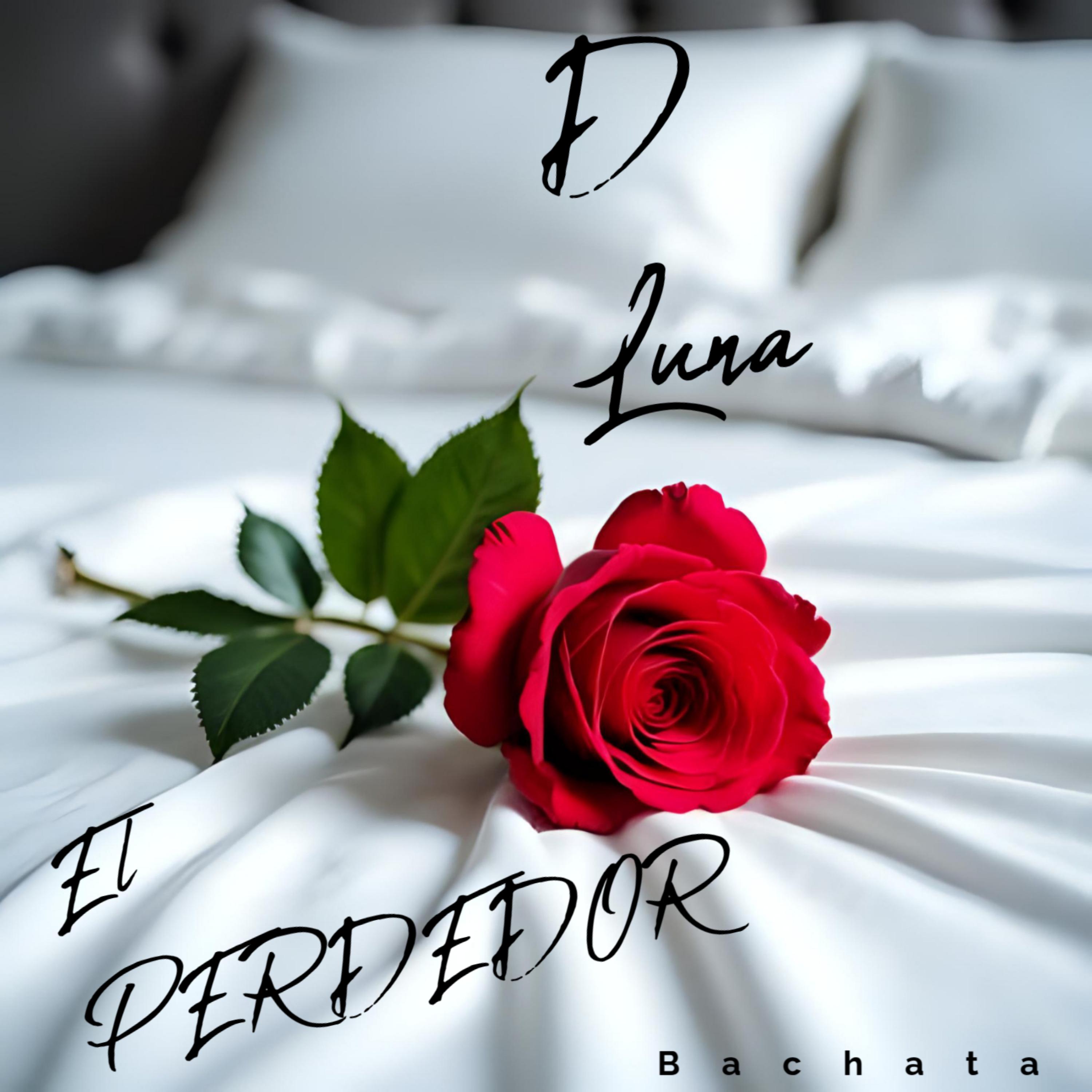 El Perdedor Bachata artwork