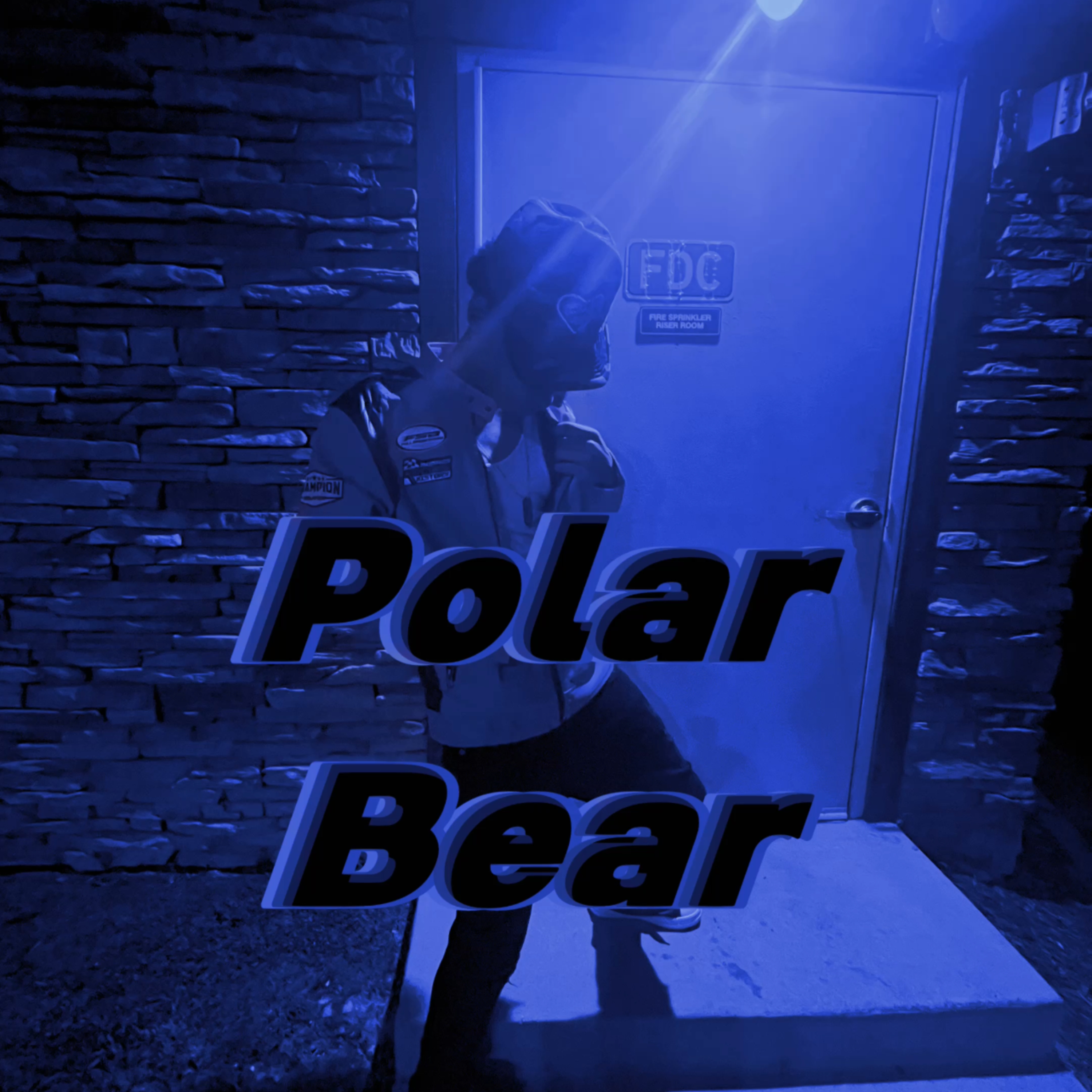 Polar Bear artwork