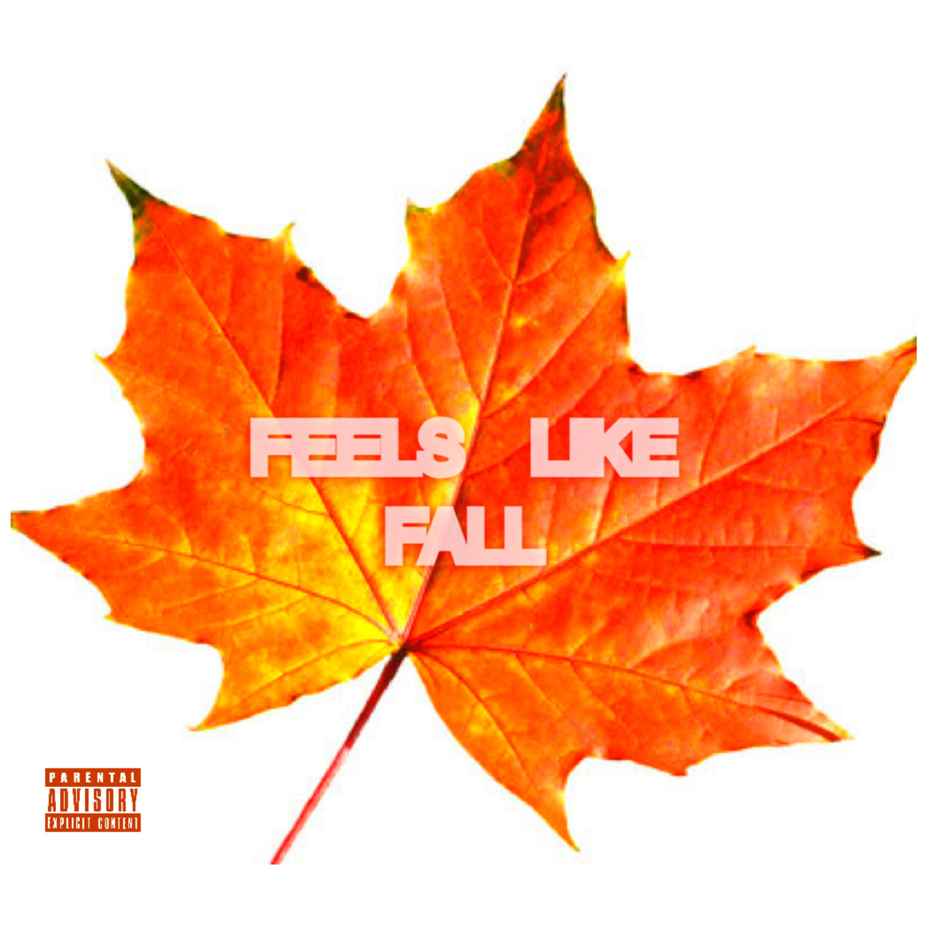 FEELS LIKE FALL artwork