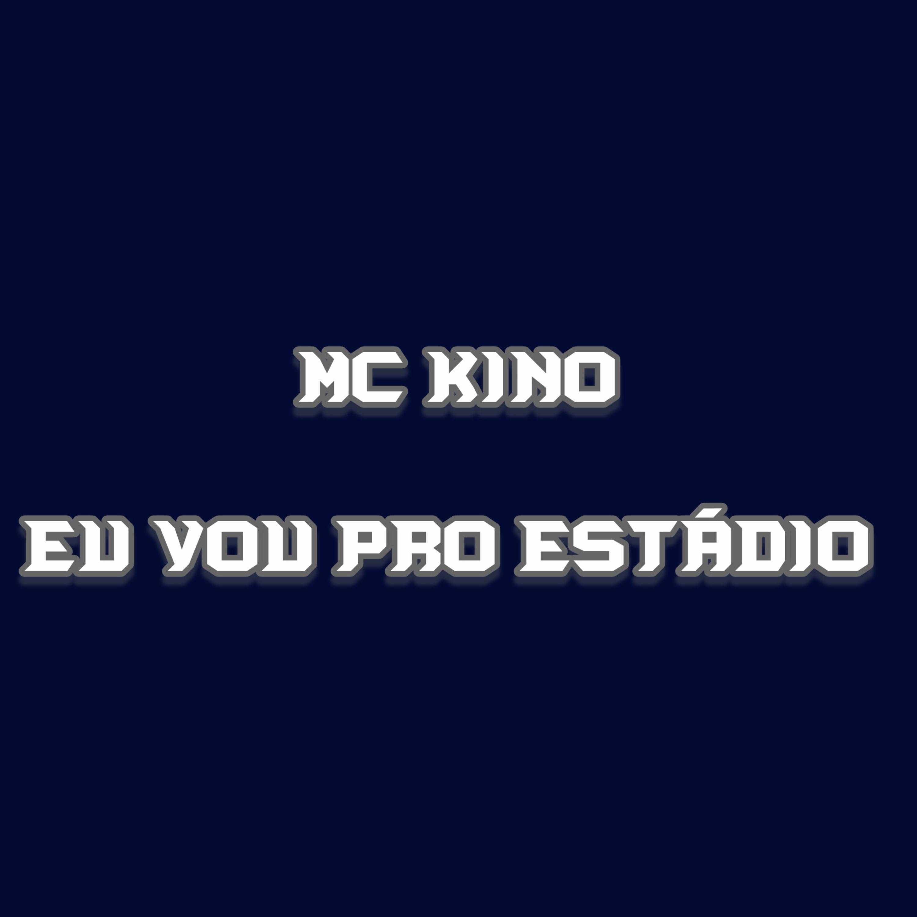 EU VOU PRO ESTÁDIO artwork