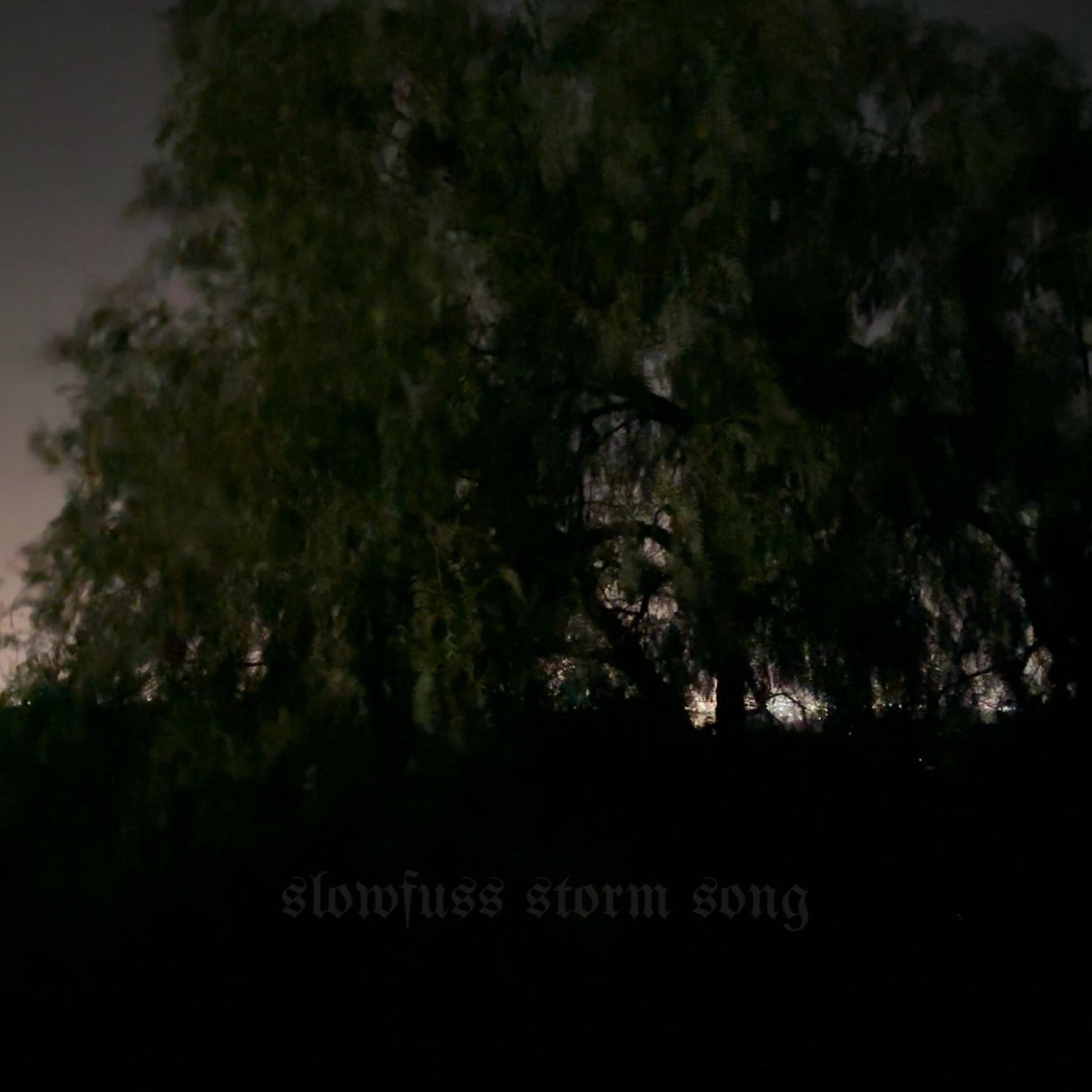 Storm Song artwork