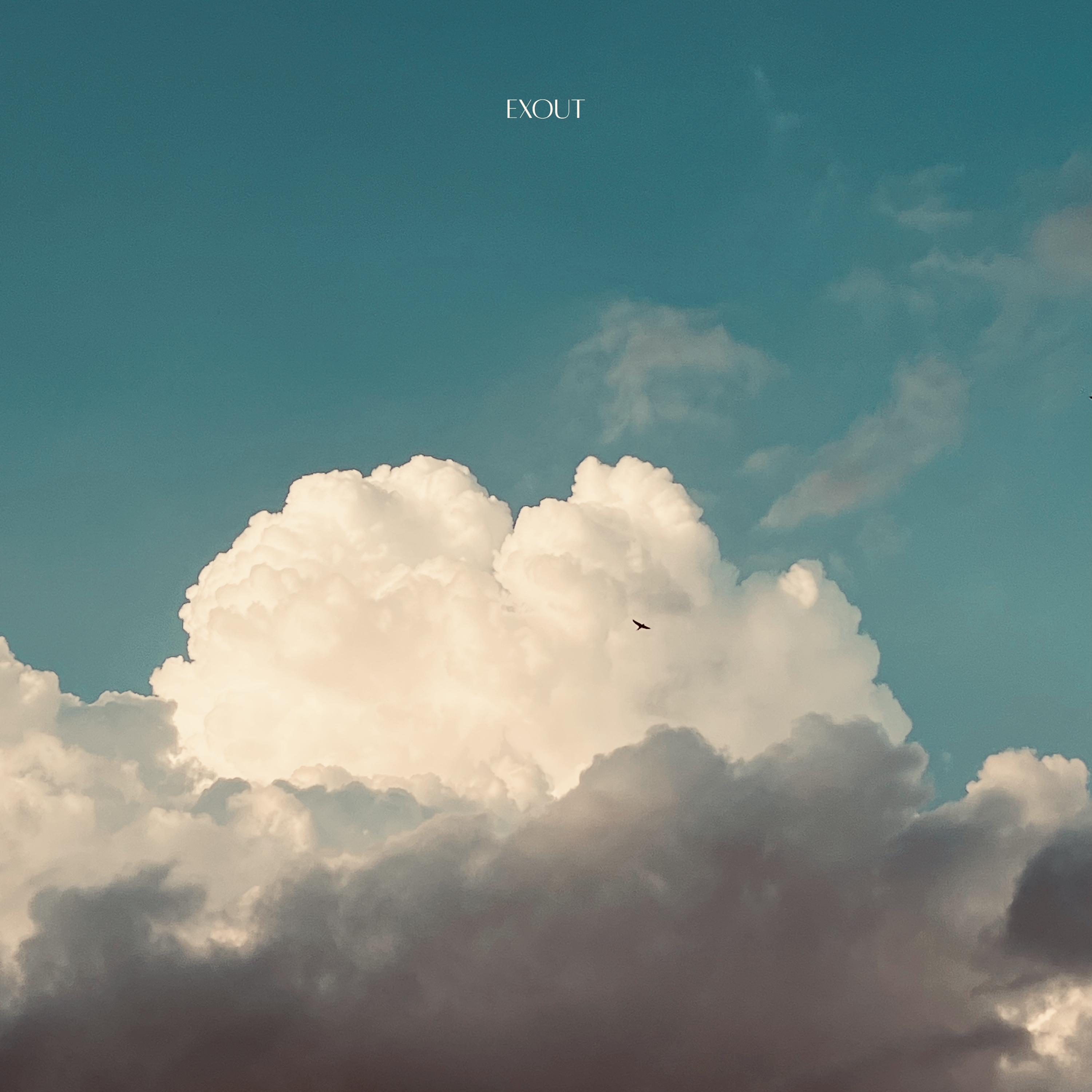 Partially Cloudy by Exout cover art