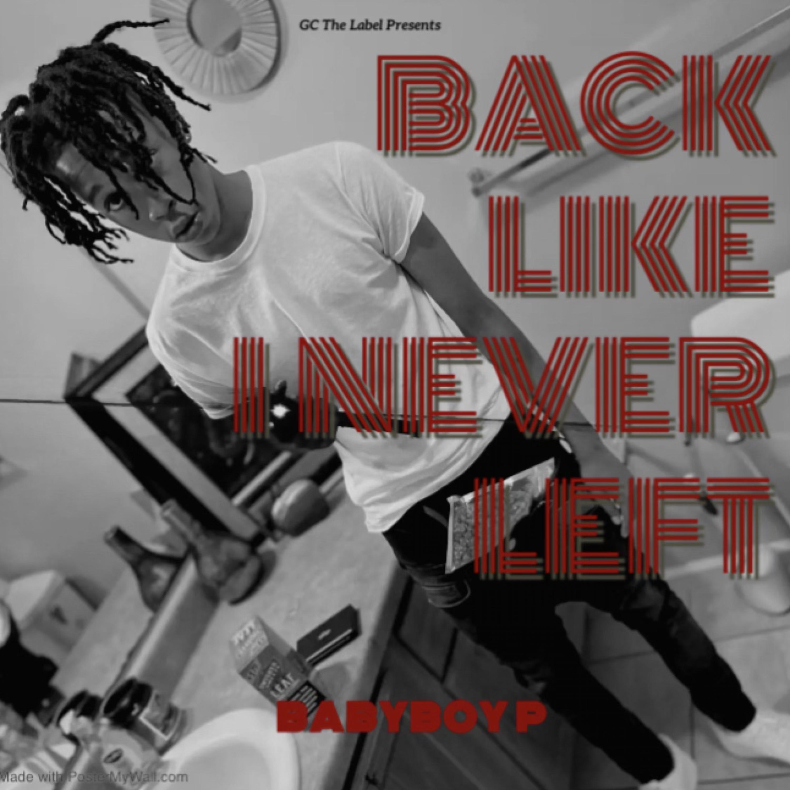 Back Like I Never Left artwork