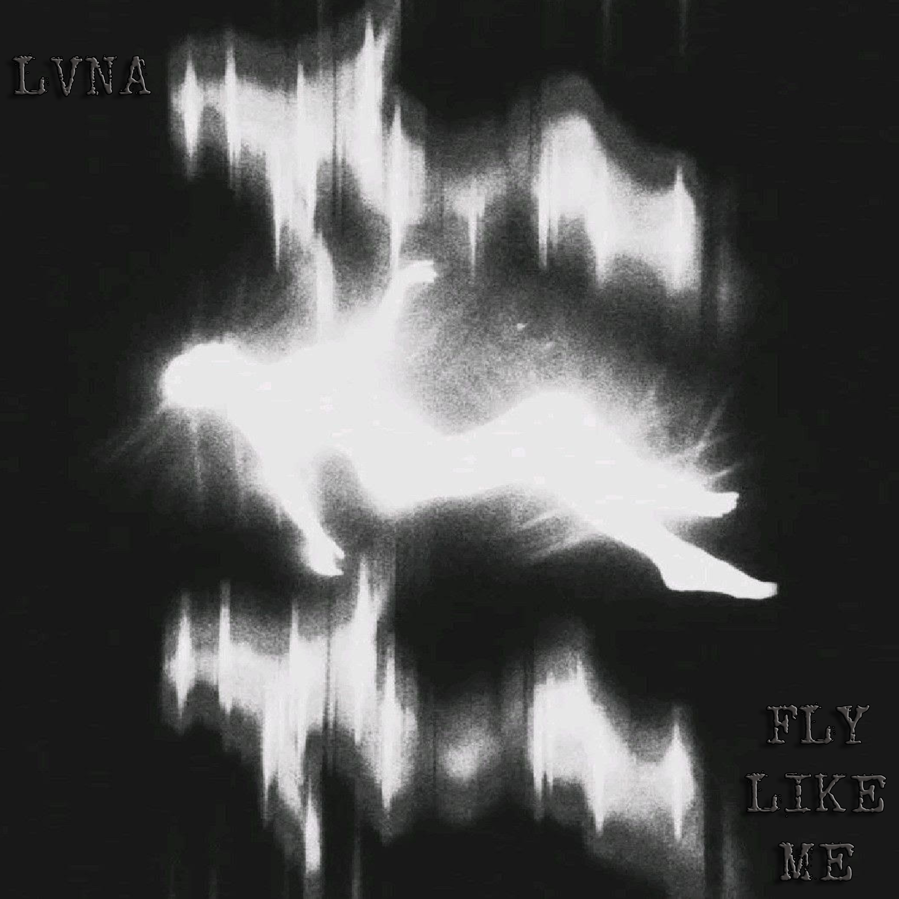 FLY LIKE ME ! artwork