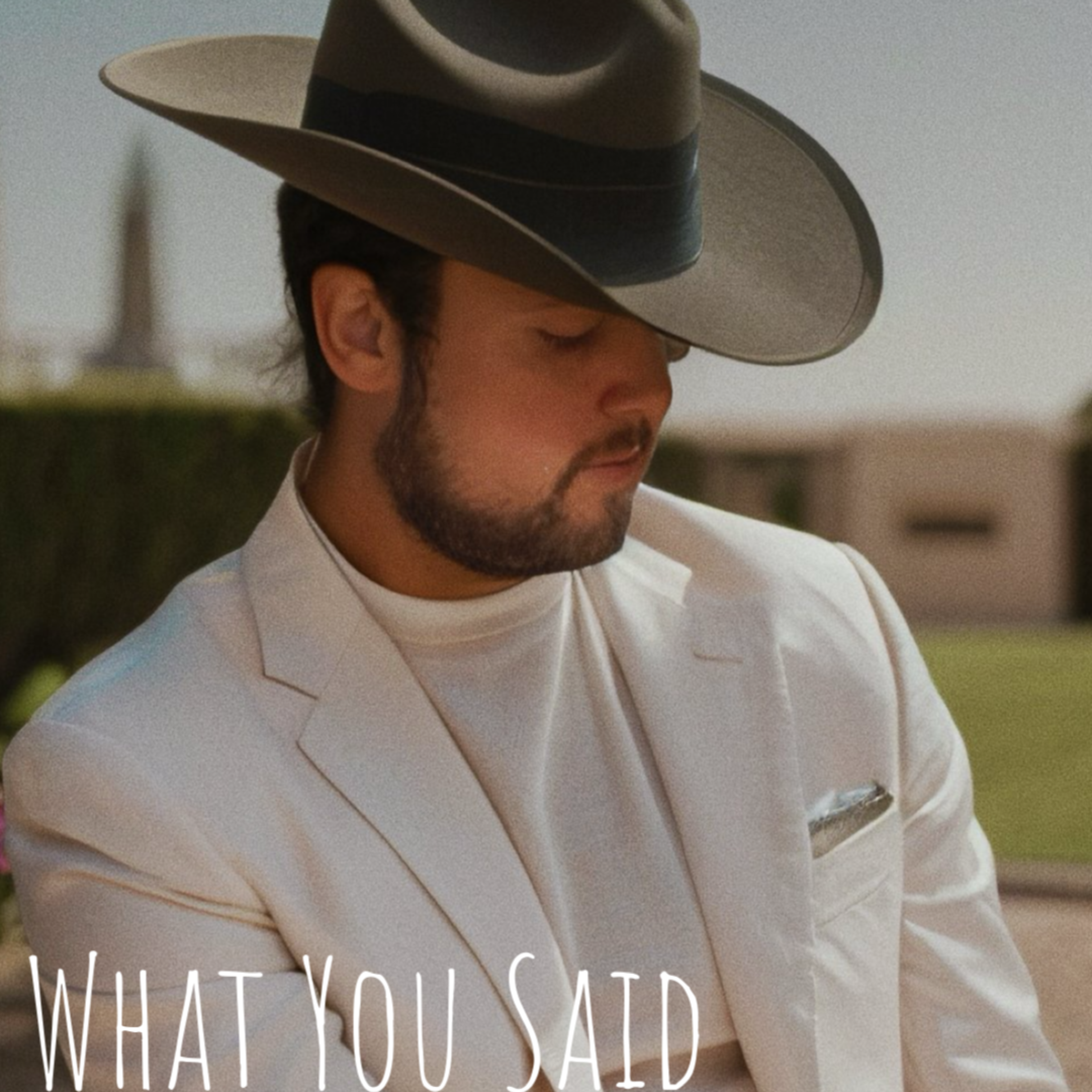 What You Said artwork