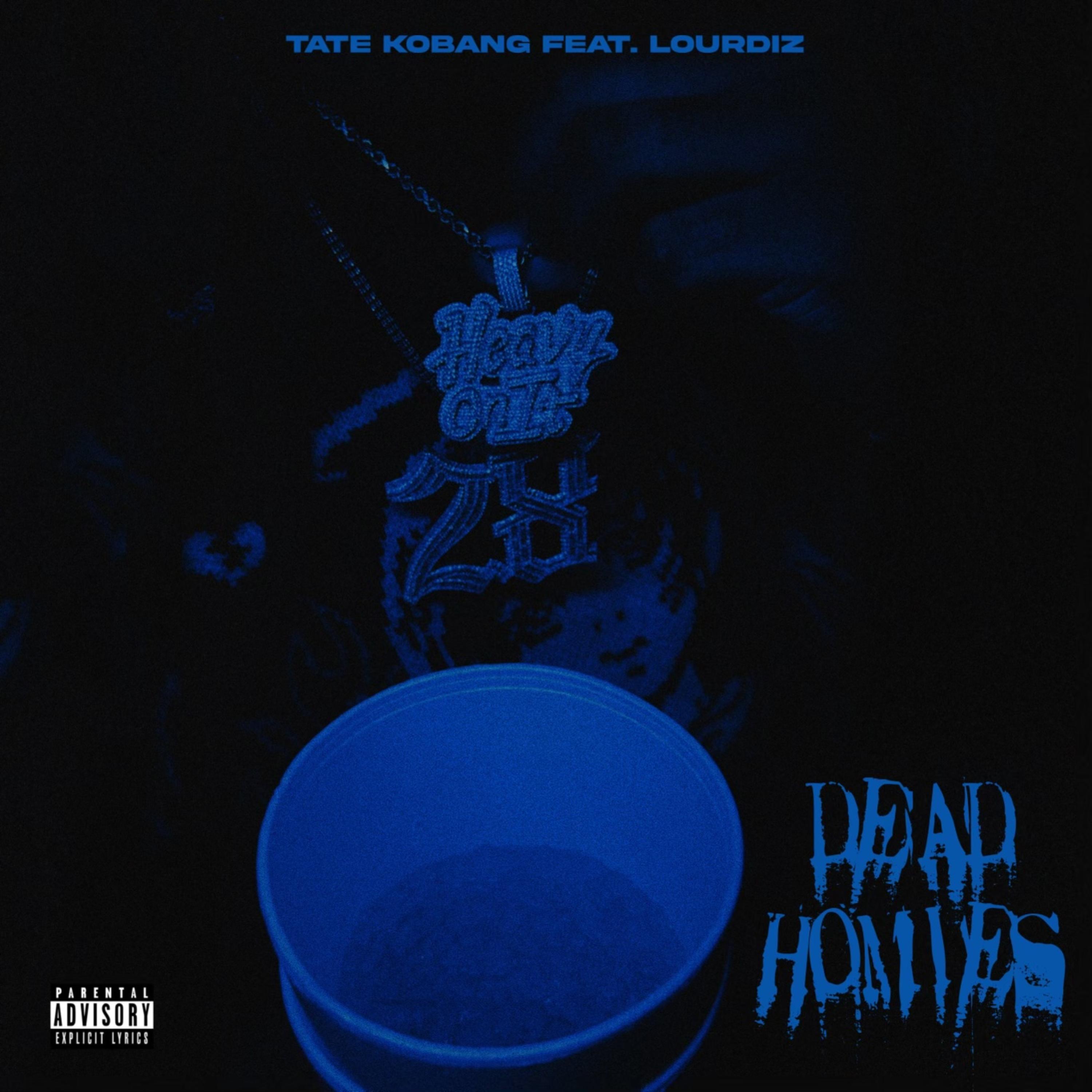Dead Homies artwork