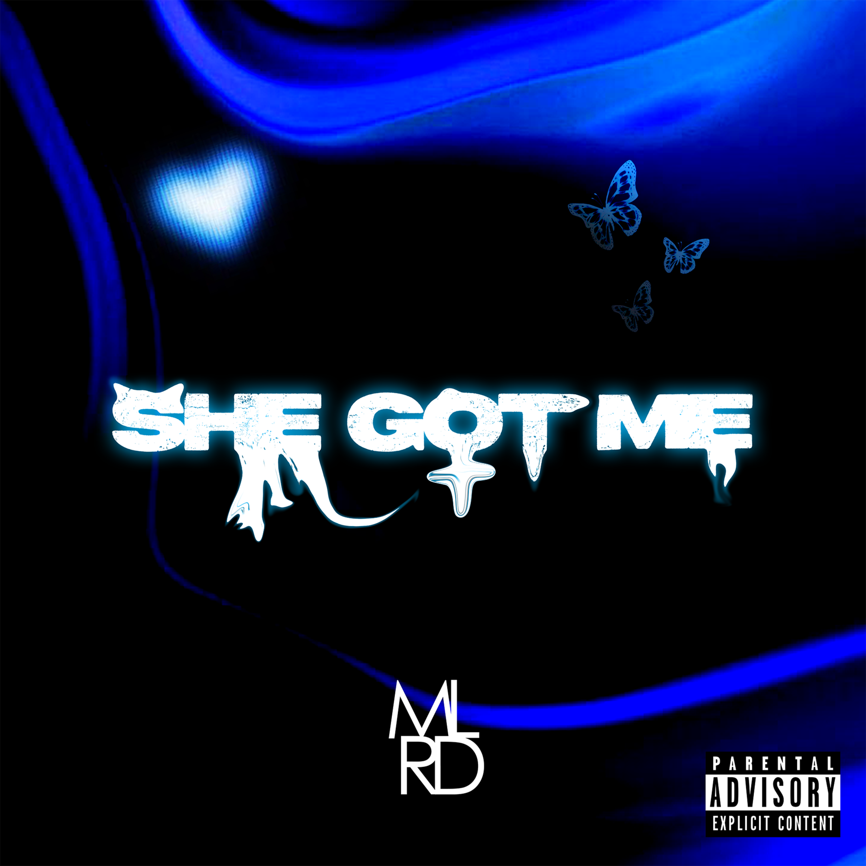 SHE GOT ME artwork