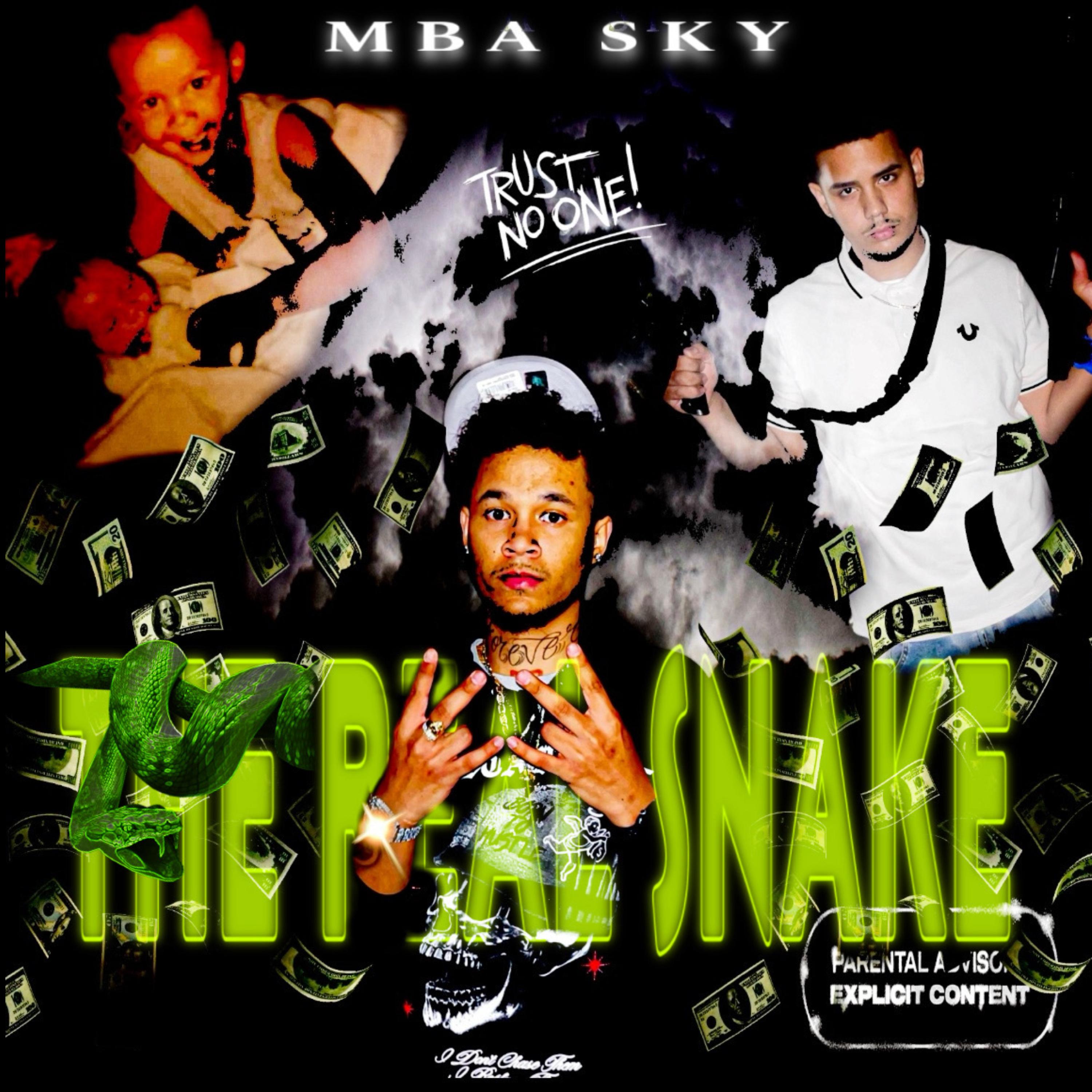 The Real Snake artwork