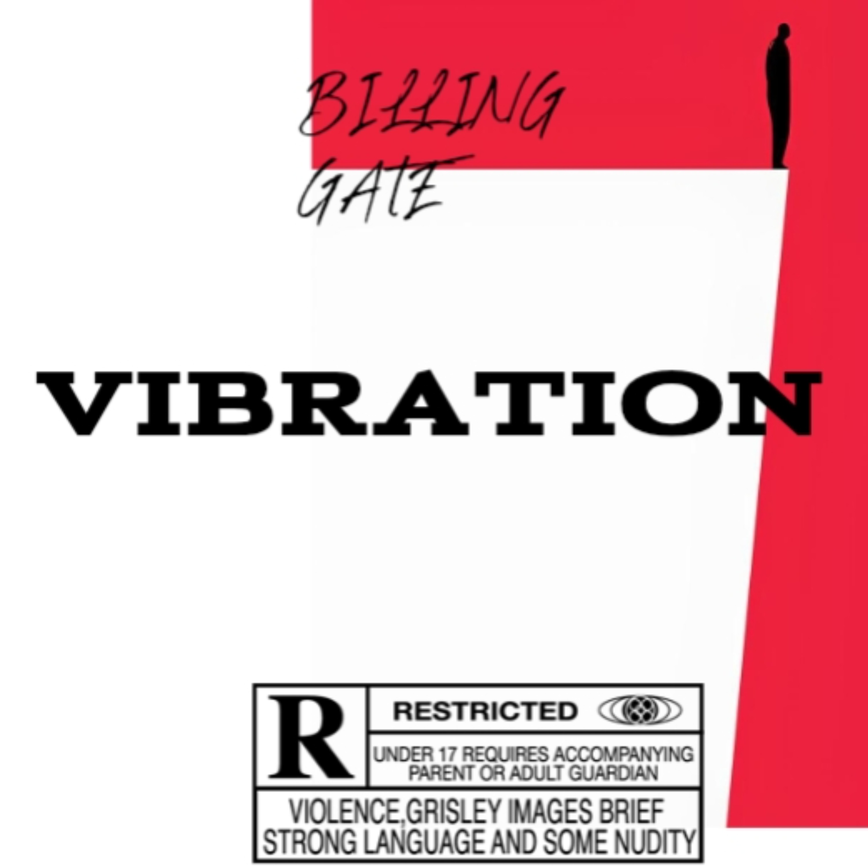 VIBRATION artwork