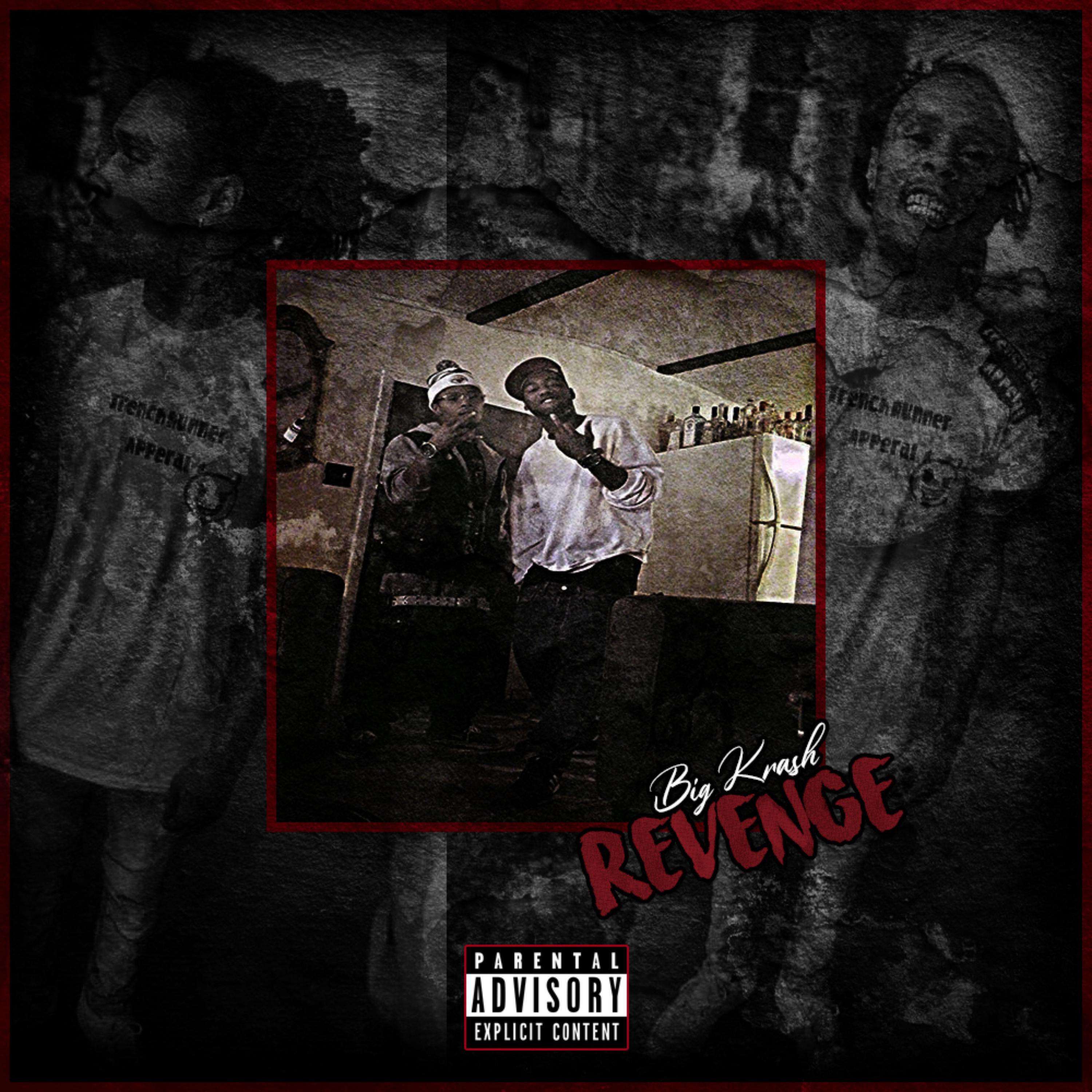 Revenge artwork