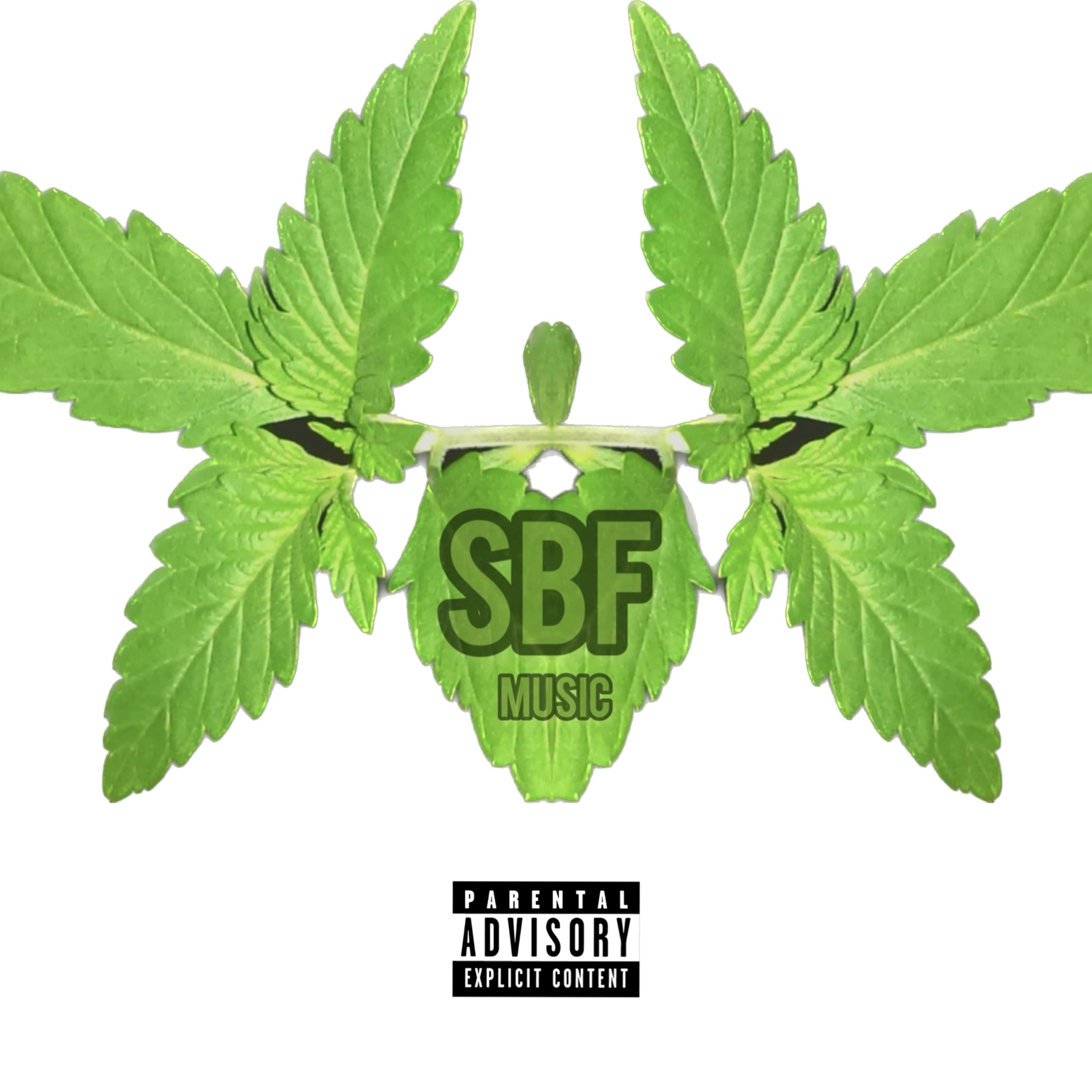 S.B.F 85 artwork