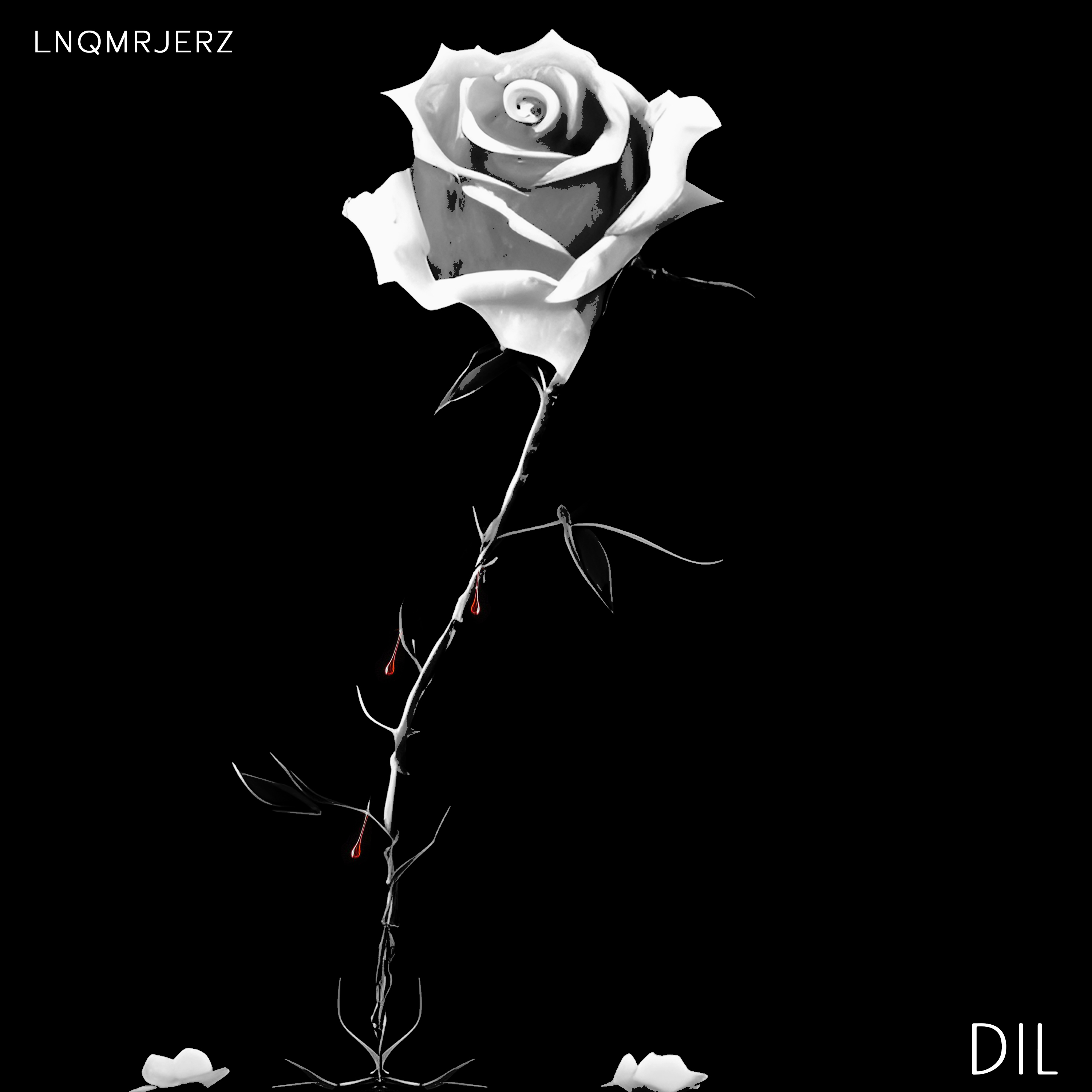 DIL artwork