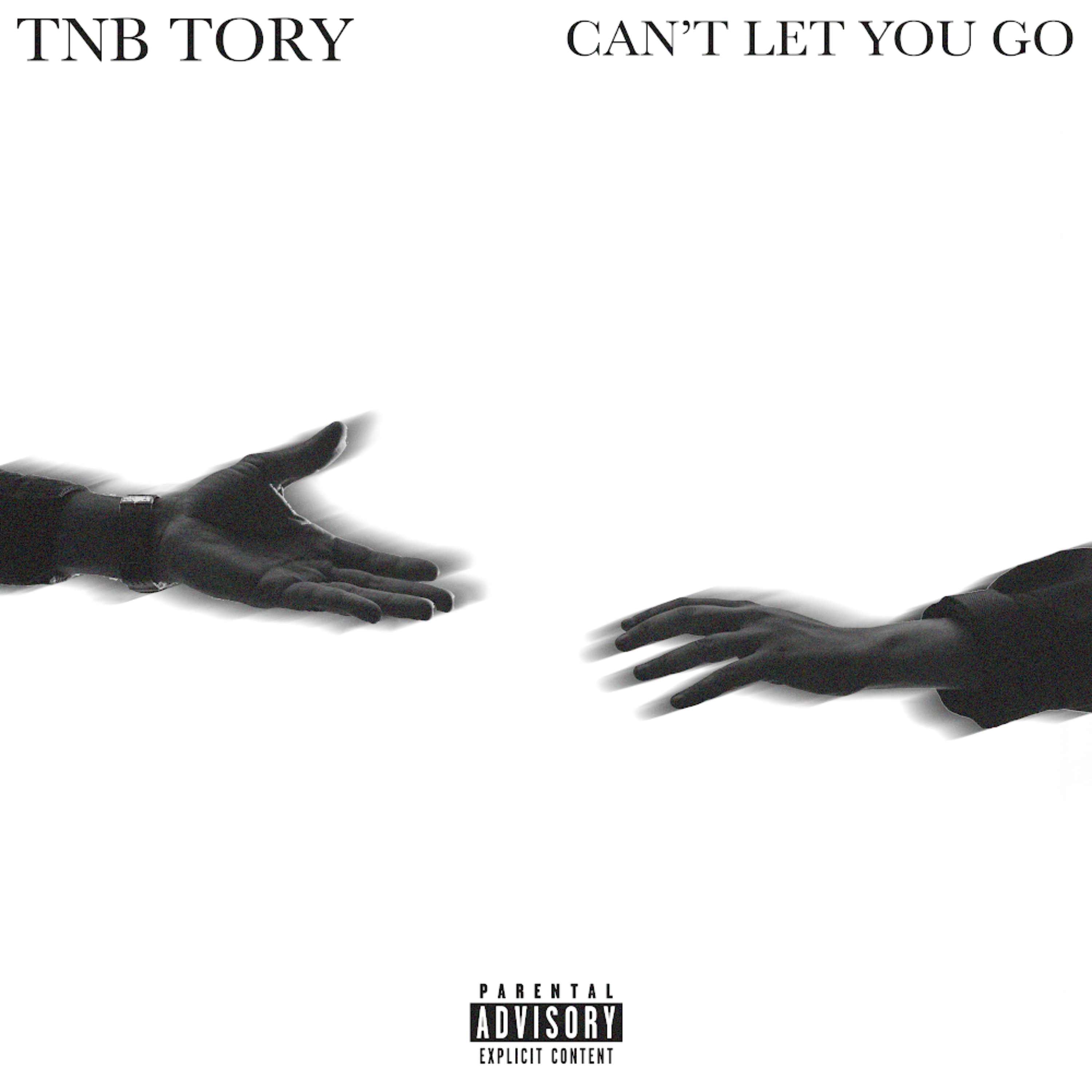 Can't Let You Go artwork