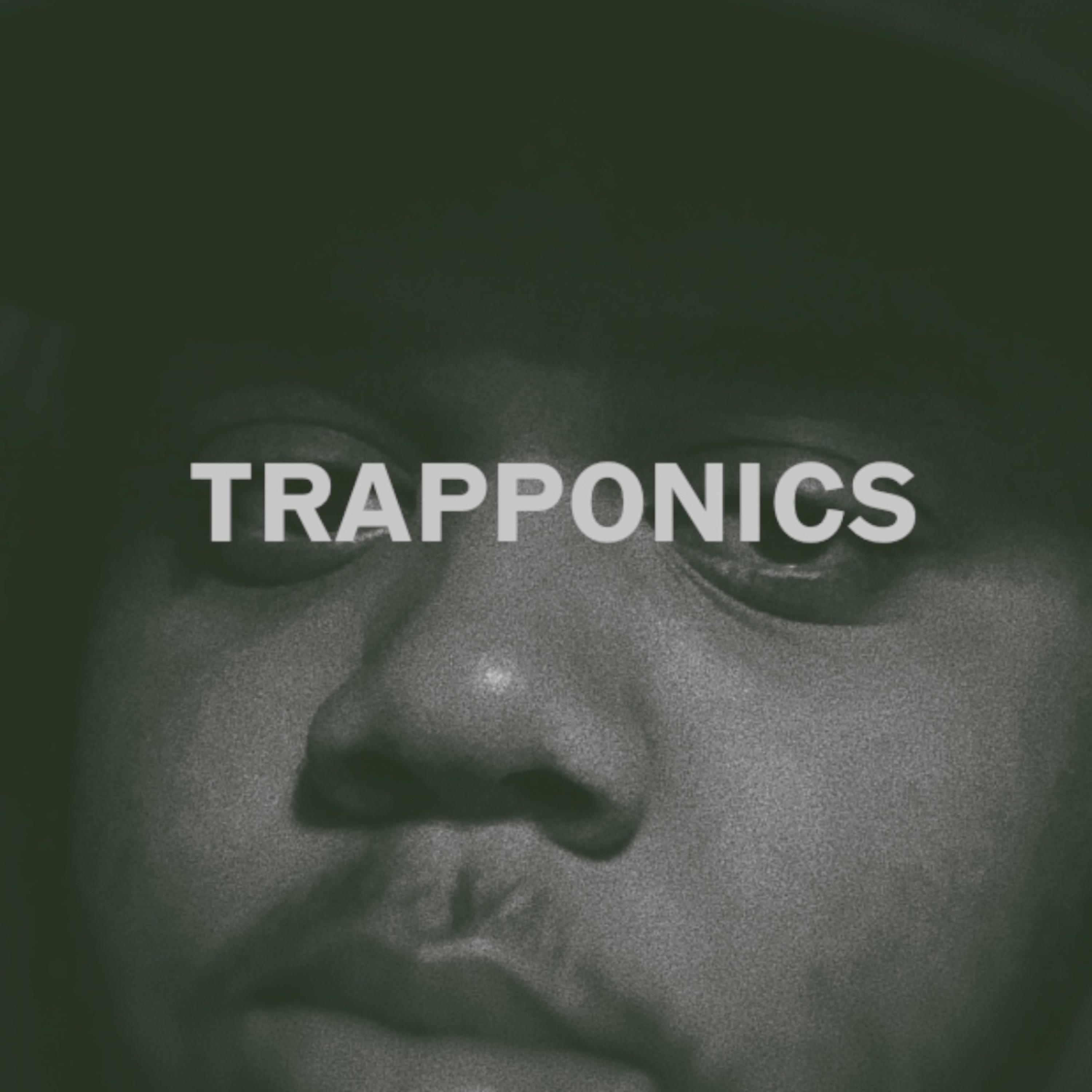TRAPPONICS artwork