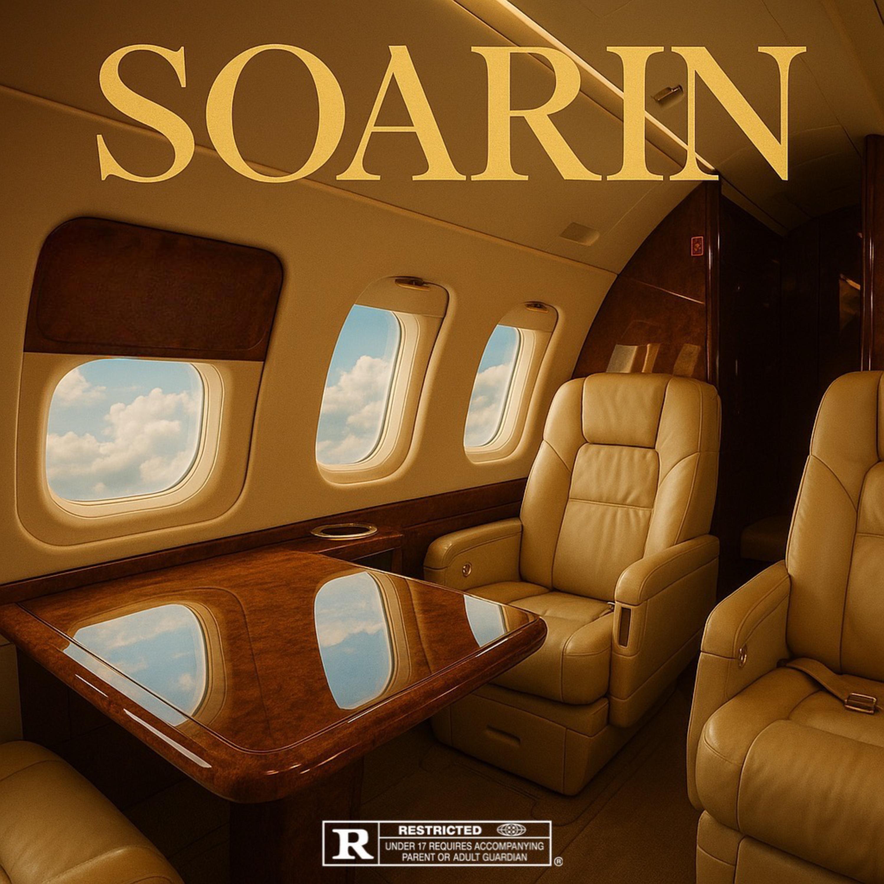 SOARIN artwork