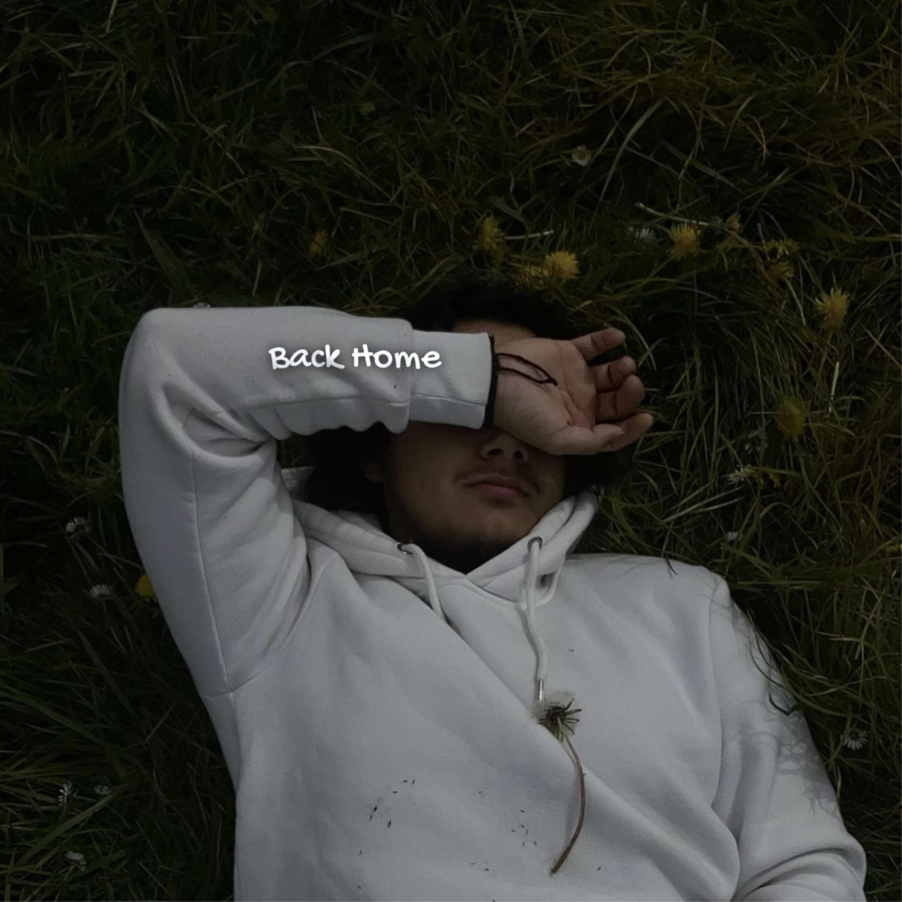 Back Home artwork