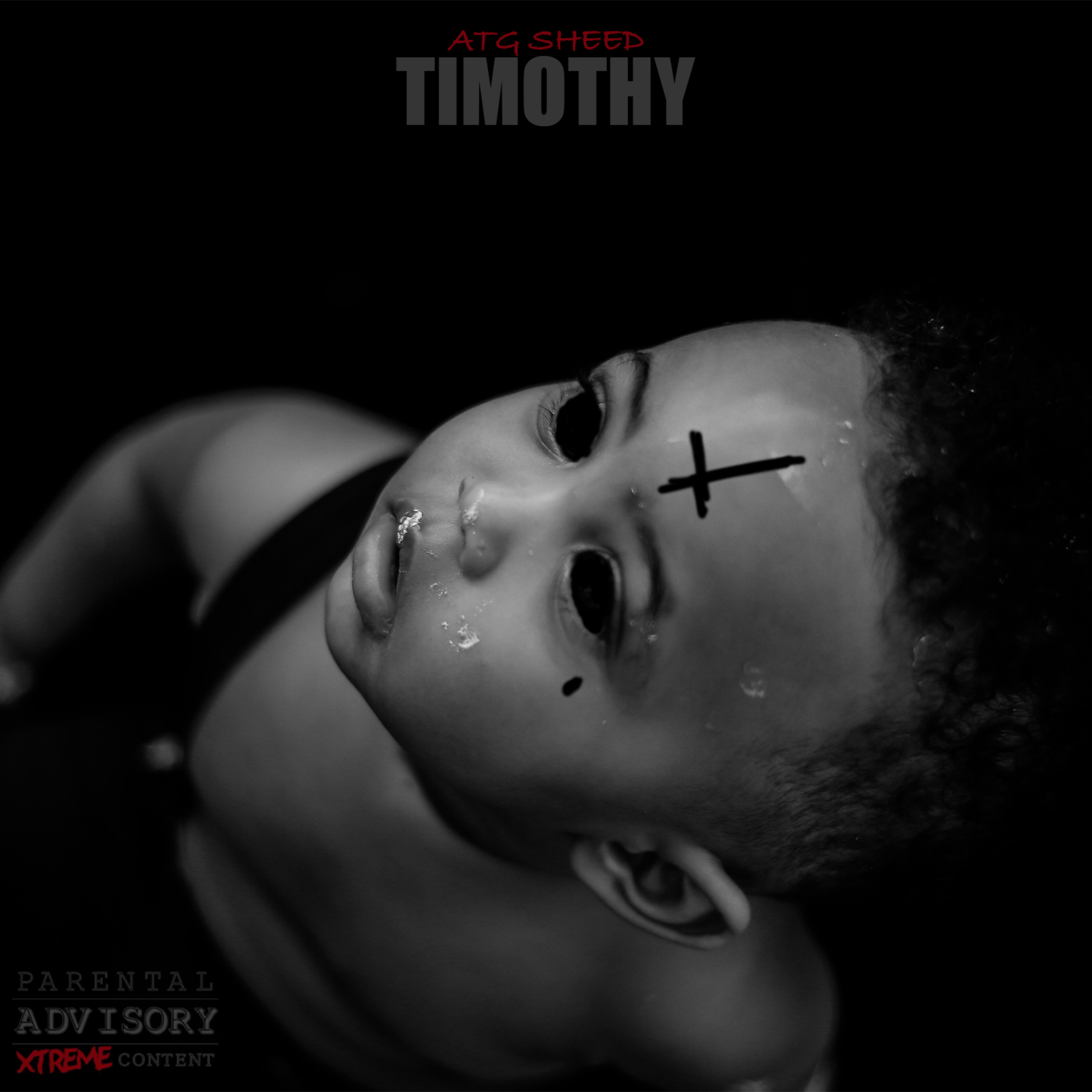 Timothy artwork