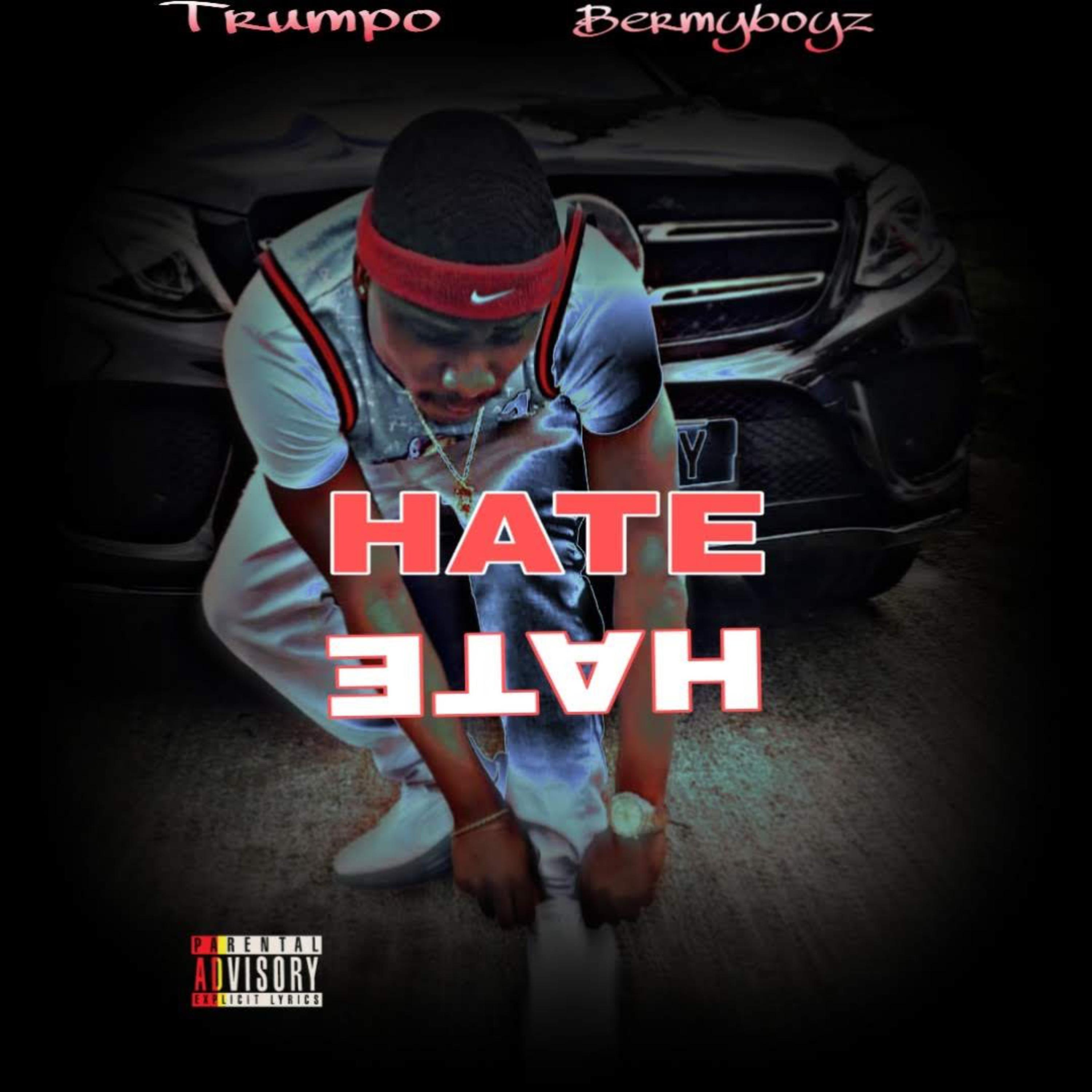 HATE artwork