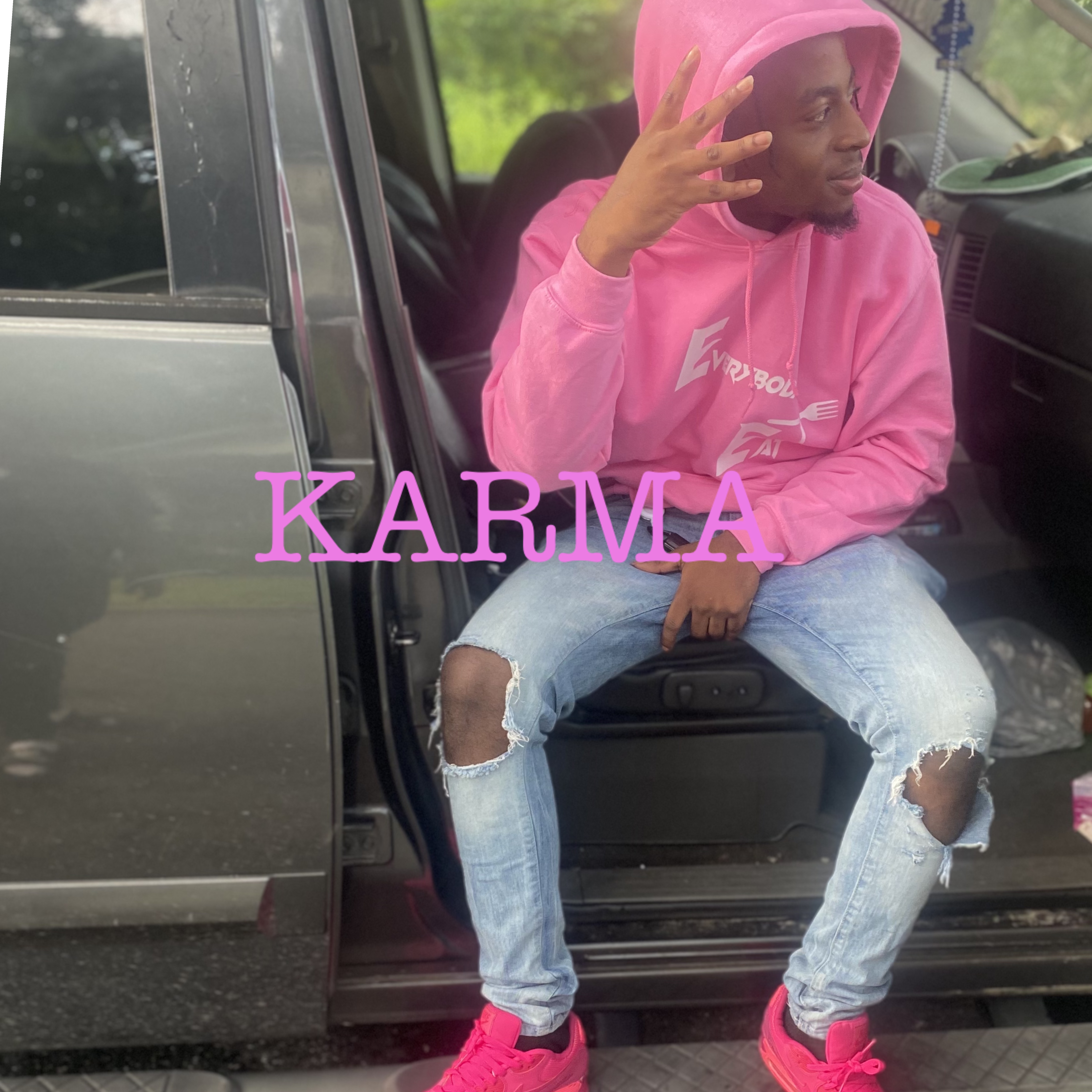 Karma artwork