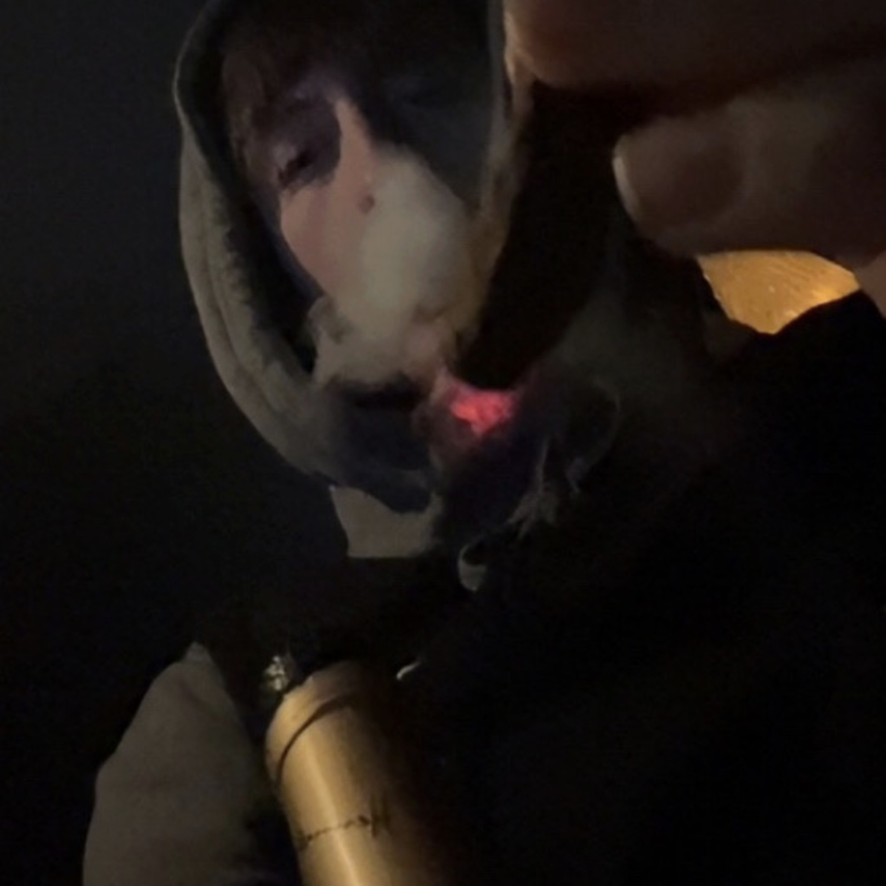 Get out my face! artwork