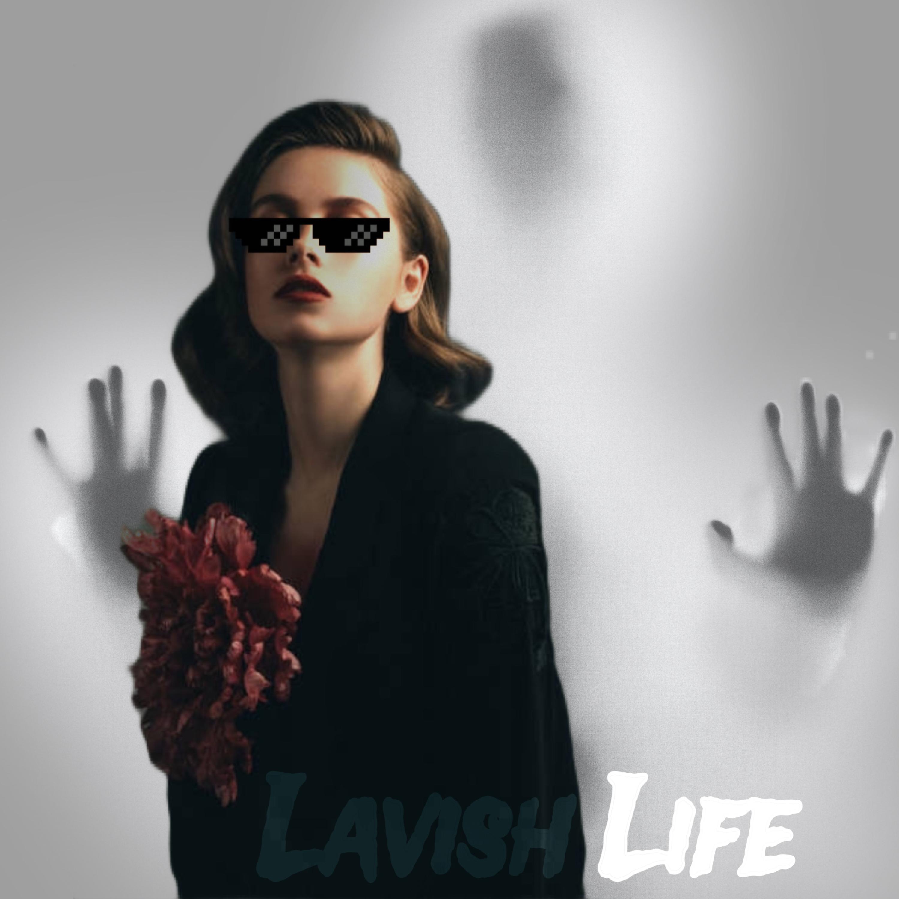 Lavish life artwork