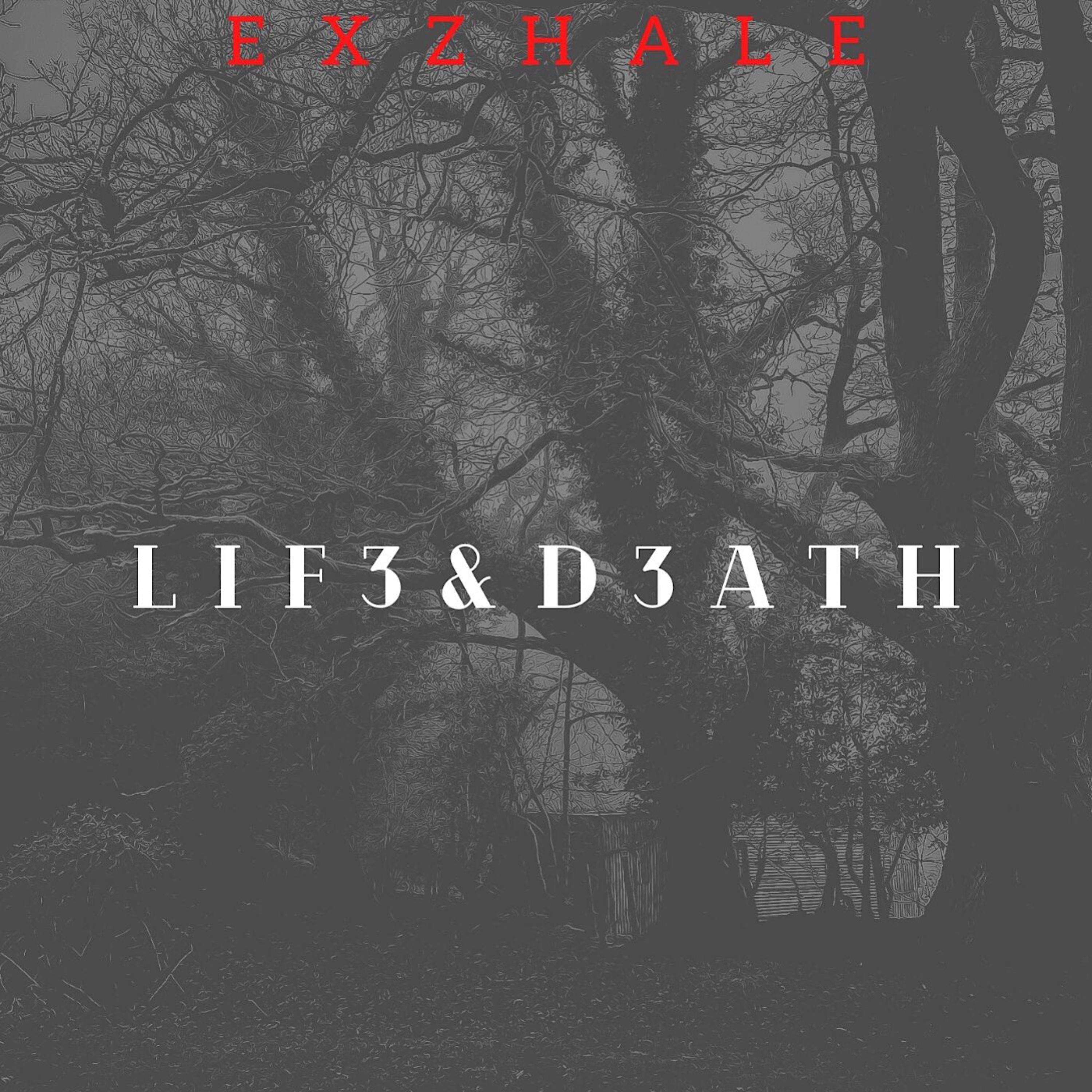 Life And Death artwork