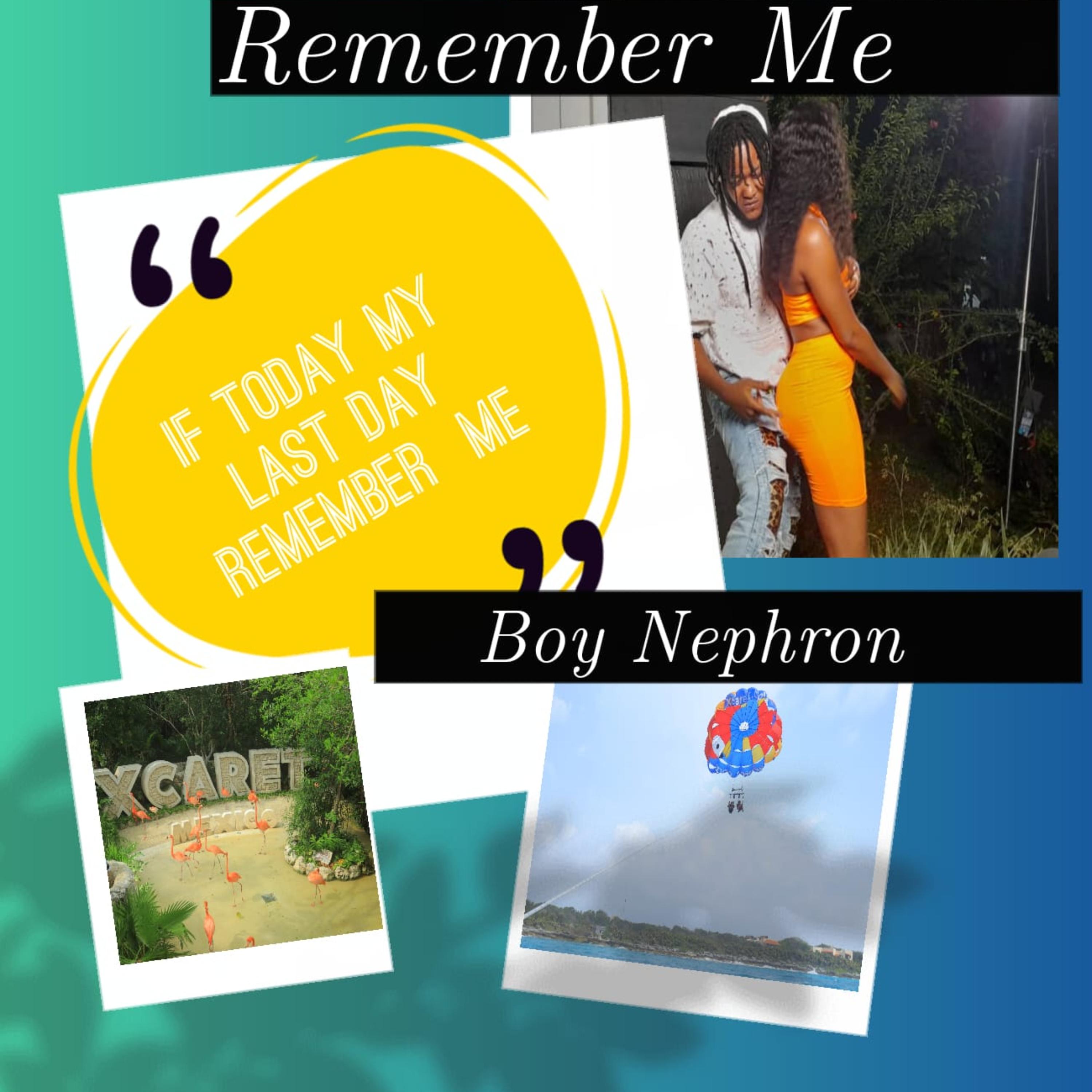 Remember Me artwork
