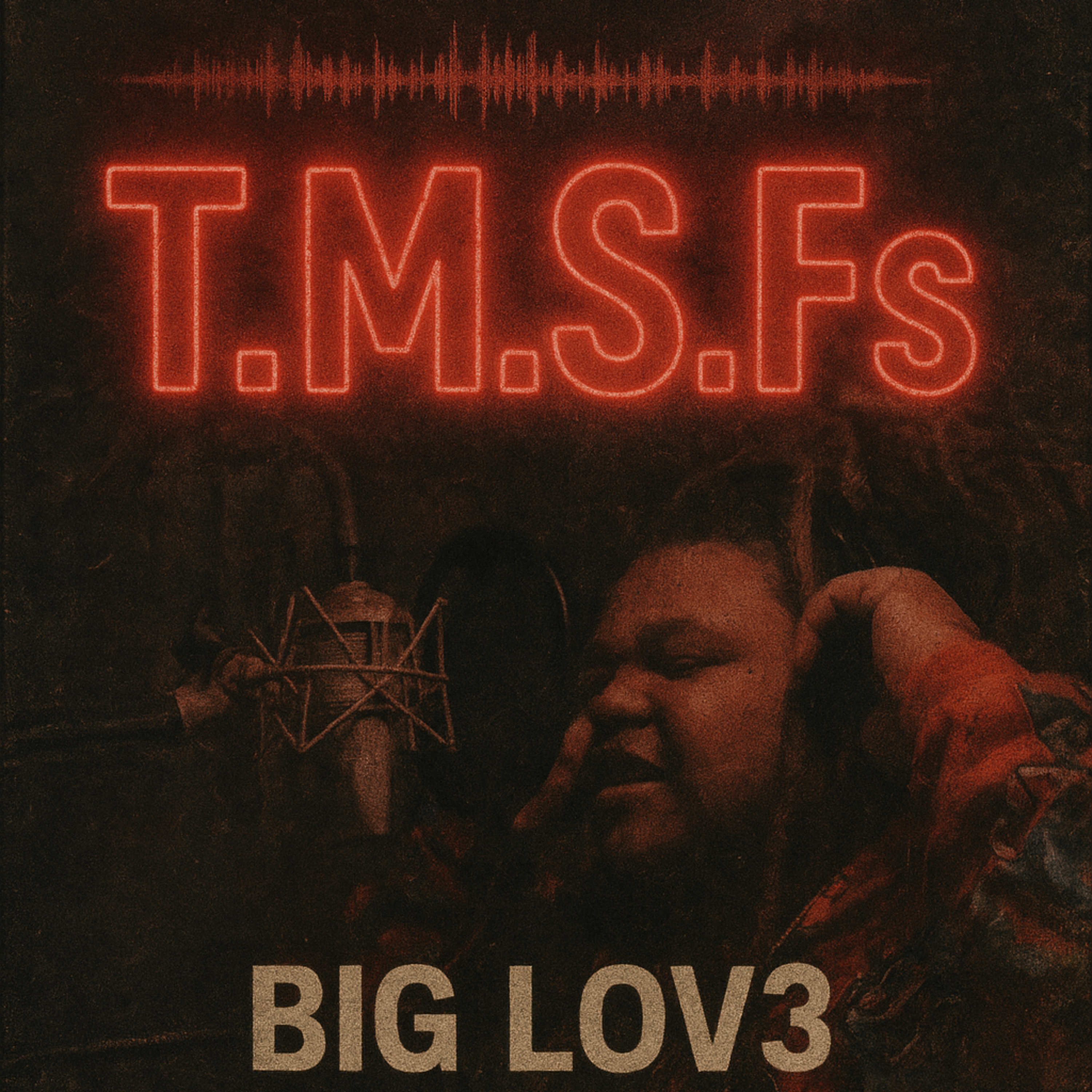 T.M.S.Fs artwork