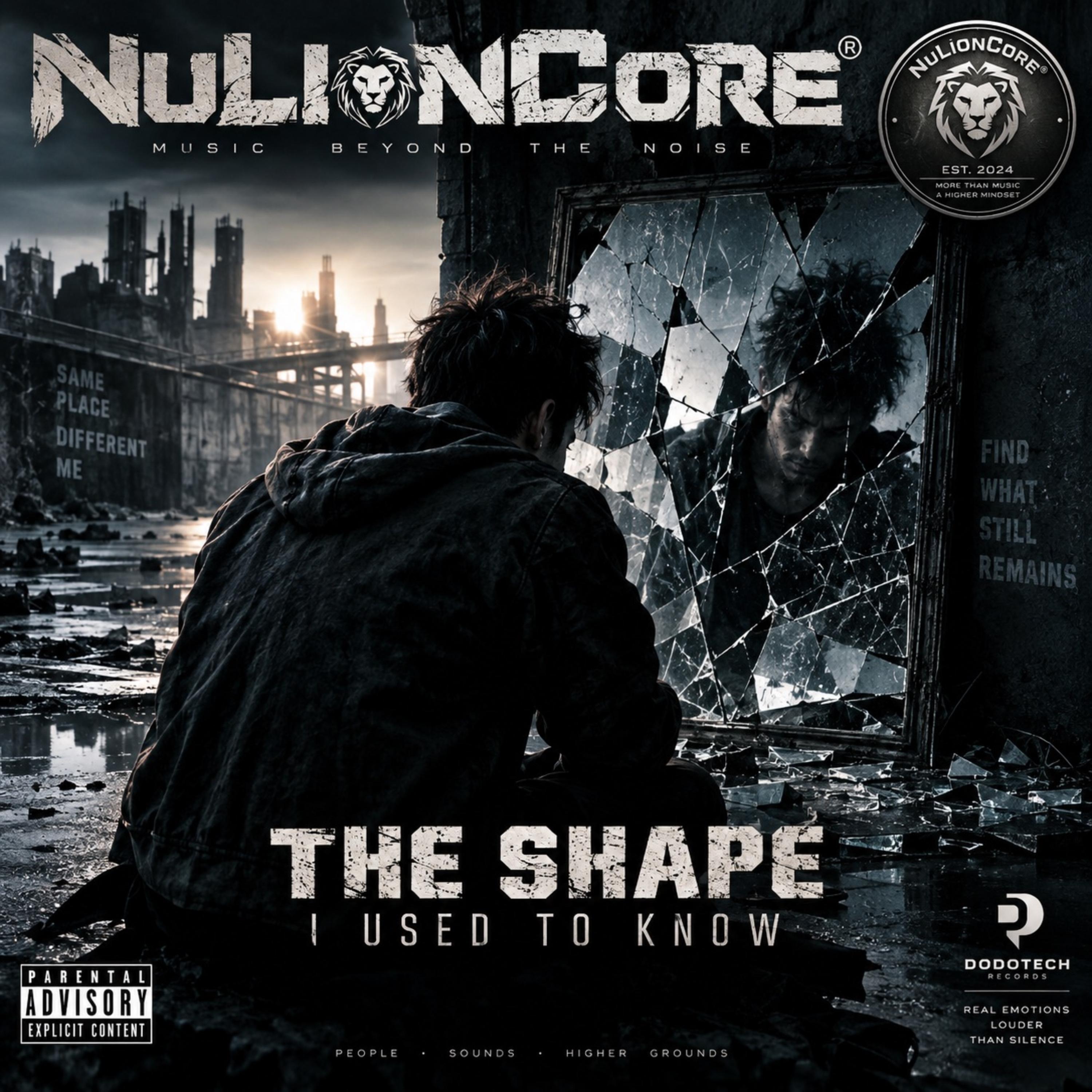 The Shape I Used To Know by Dj dodotech cover art